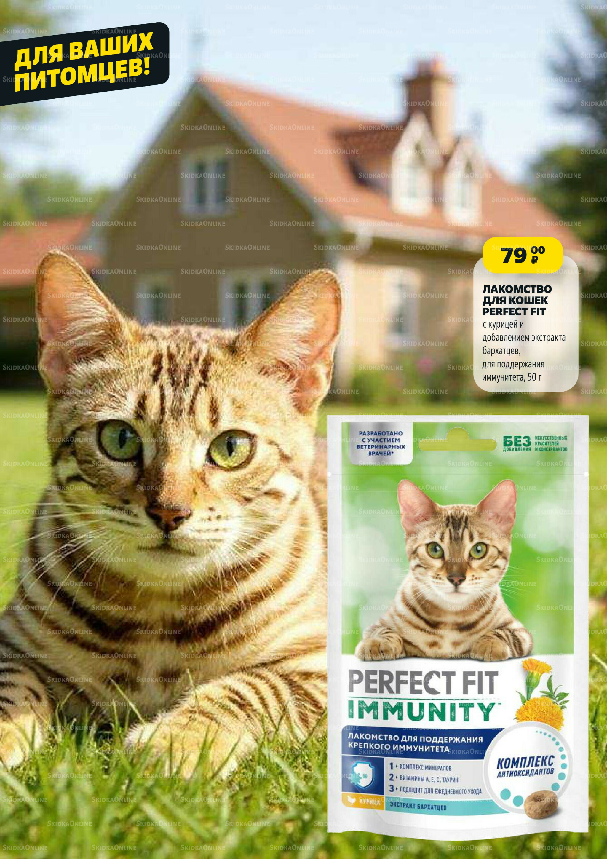 Надо успеть! 31 Июля - 6 Августа 2025 9