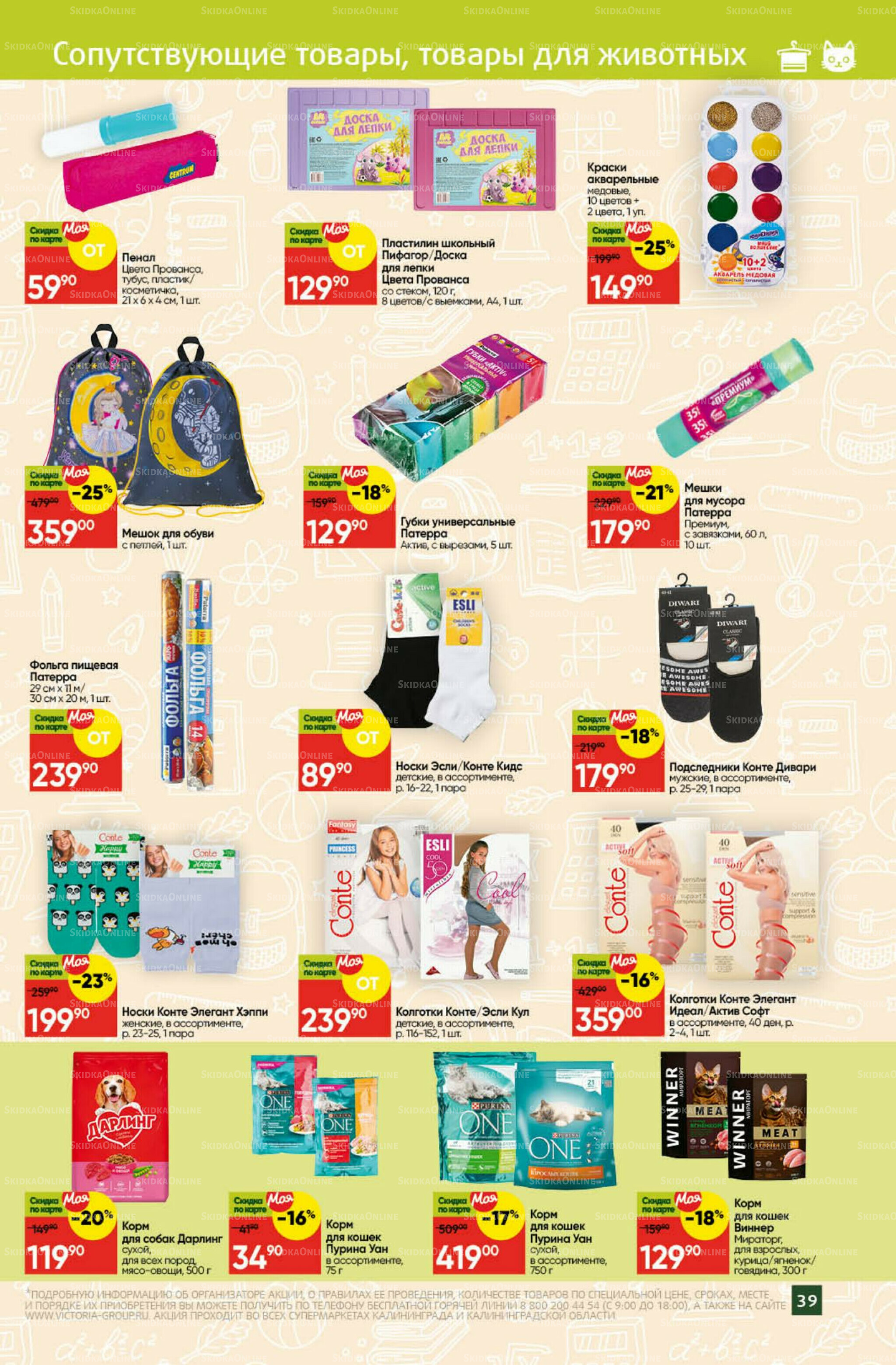 Снова в школу 1  - 31 Августа 2025 31