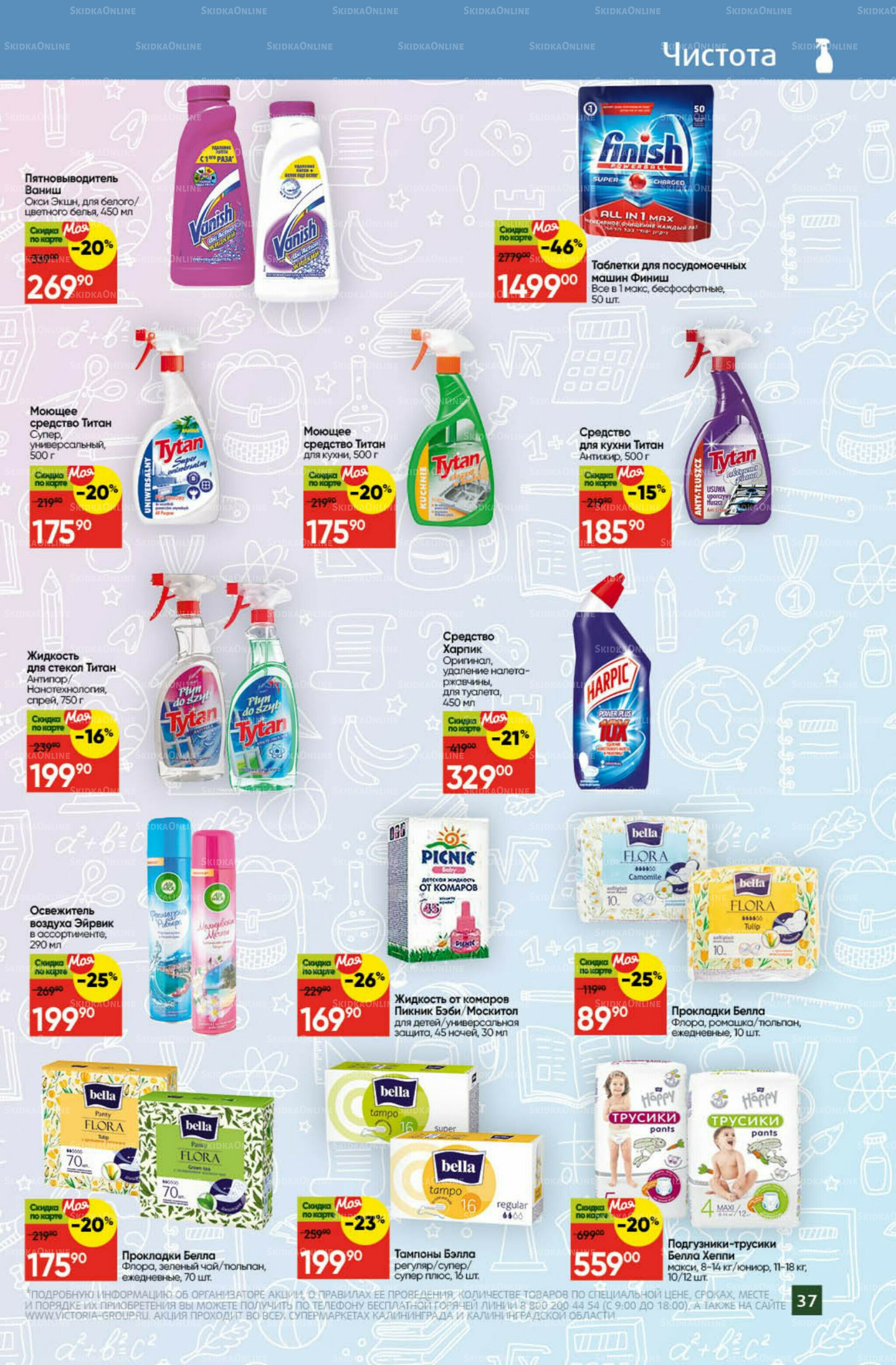 Снова в школу 1  - 31 Августа 2025 29