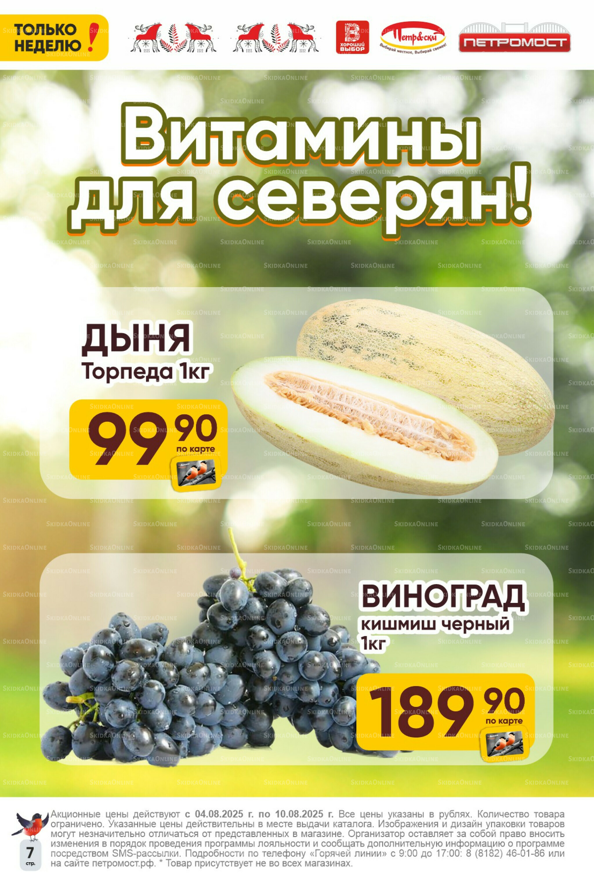 Только неделю! 4  - 10 Августа 2025 6