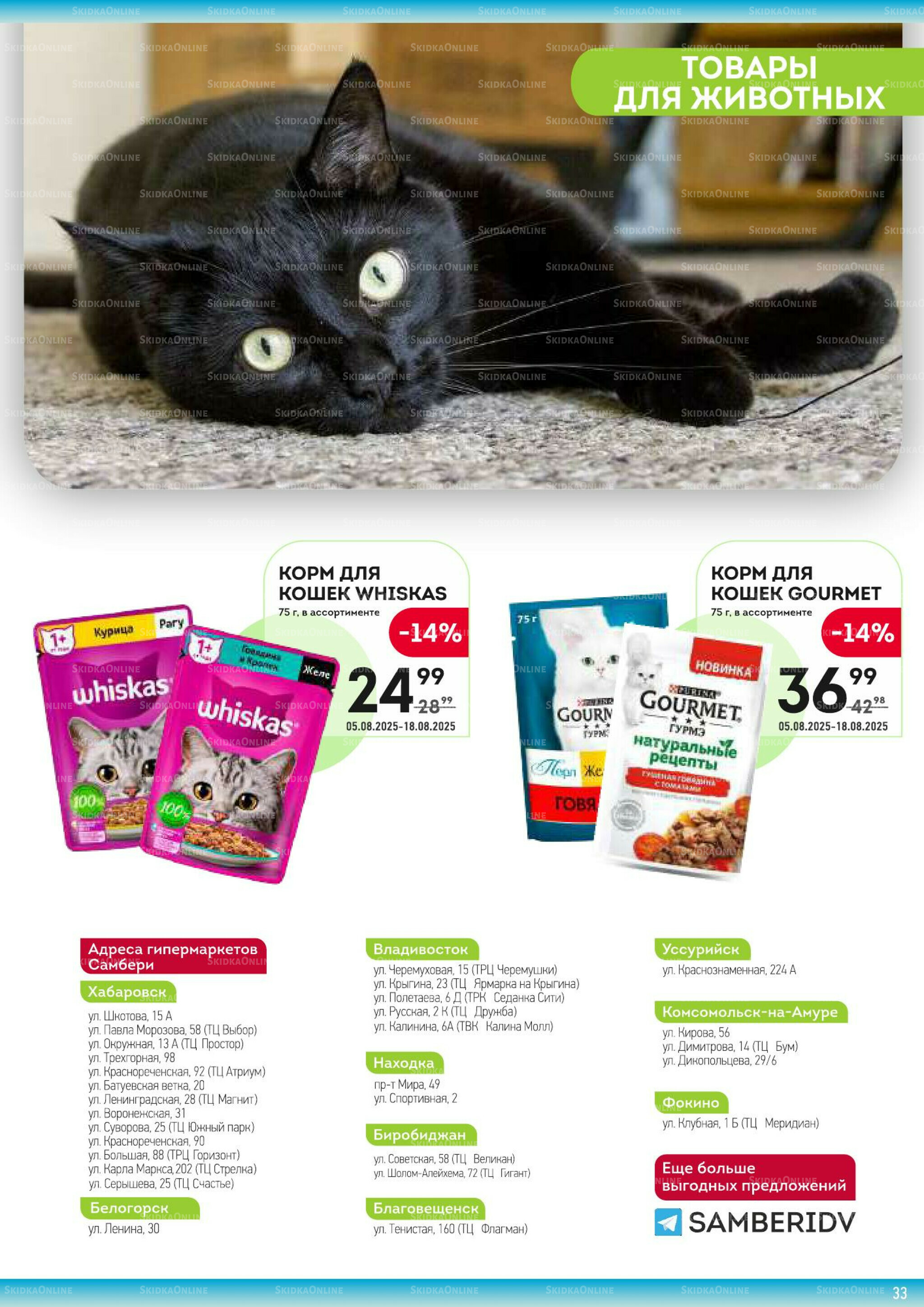 Здесь жаркий сезон! 5  - 18 Августа 2025 33