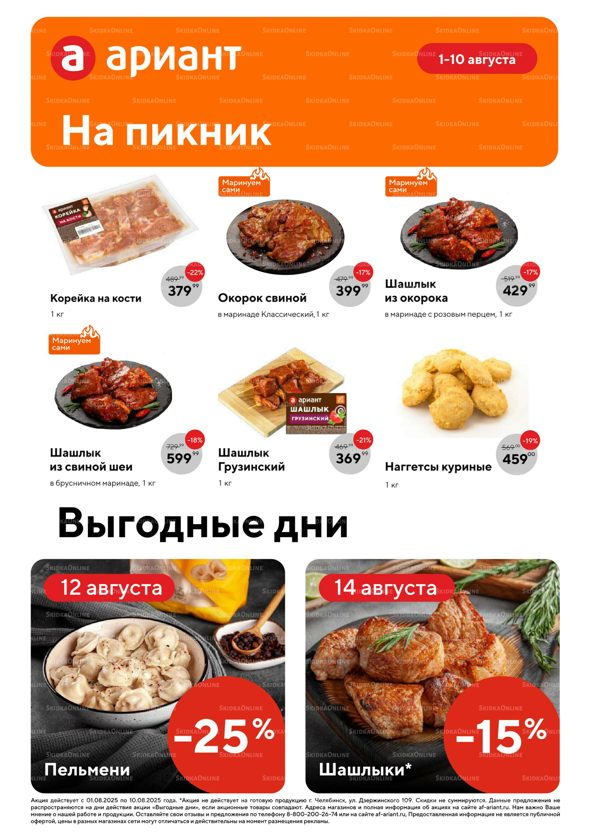 Все на пикник! 1  - 10 Августа 2025 6