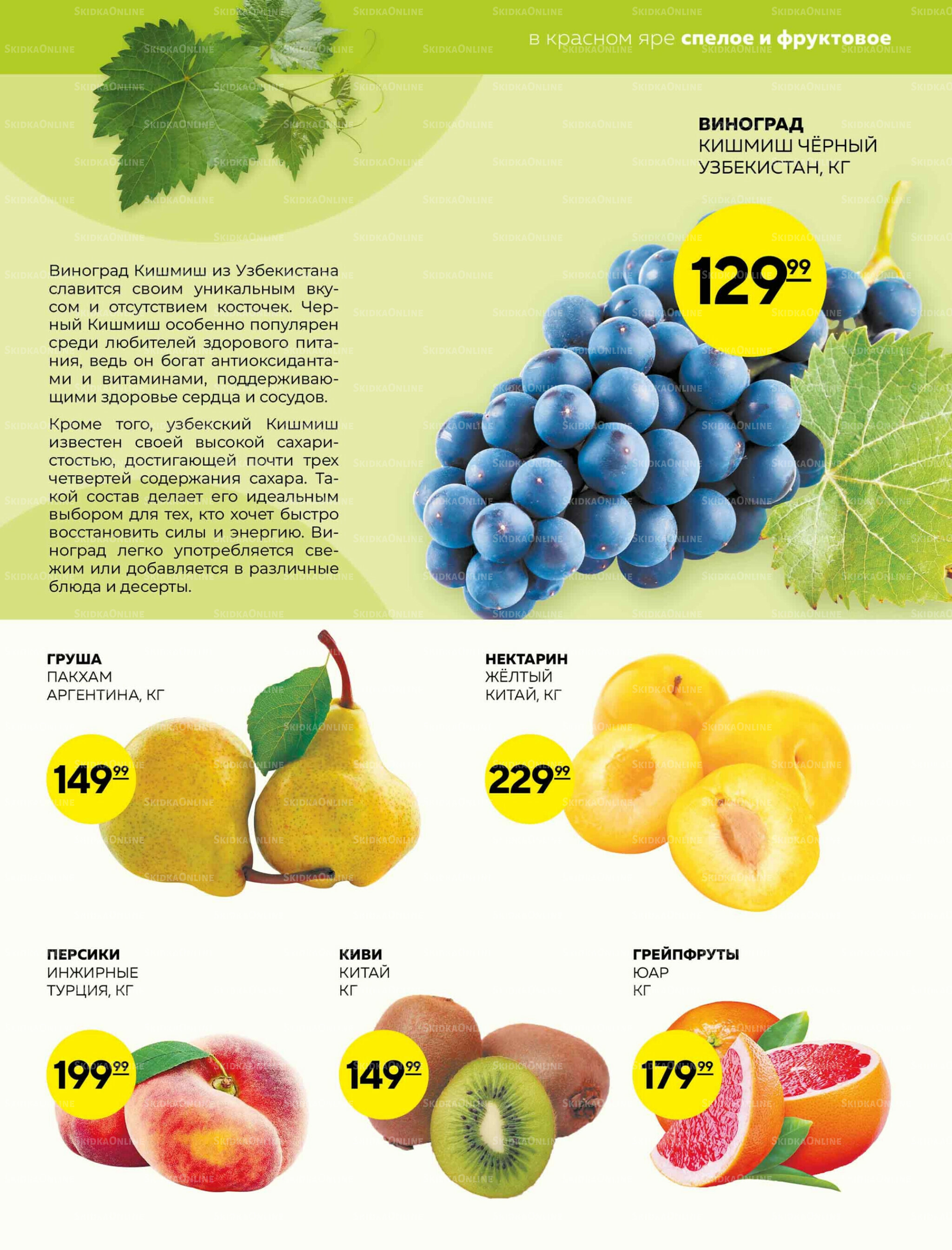 Каталог 14  - 20 Августа 2025 9