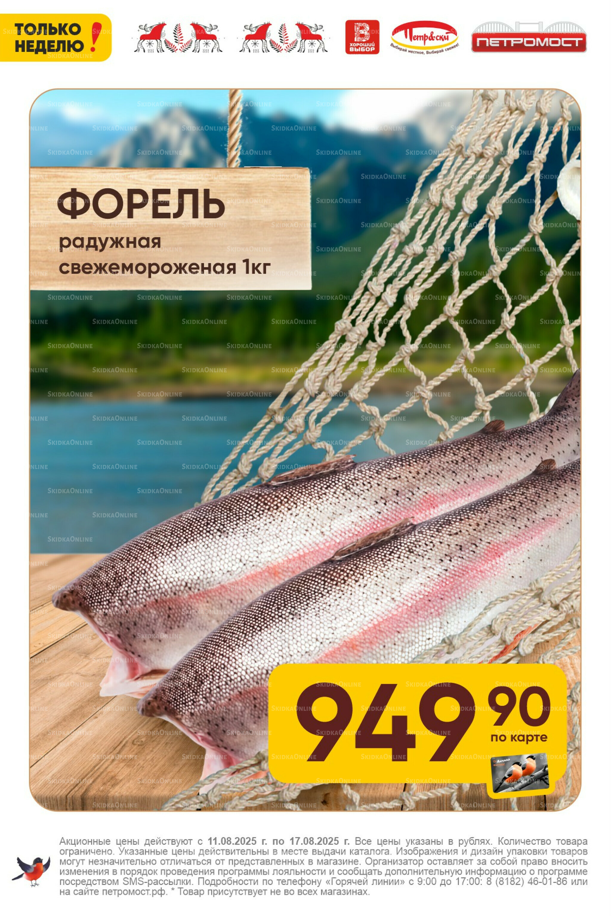 Только неделю! 11  - 17 Августа 2025 5