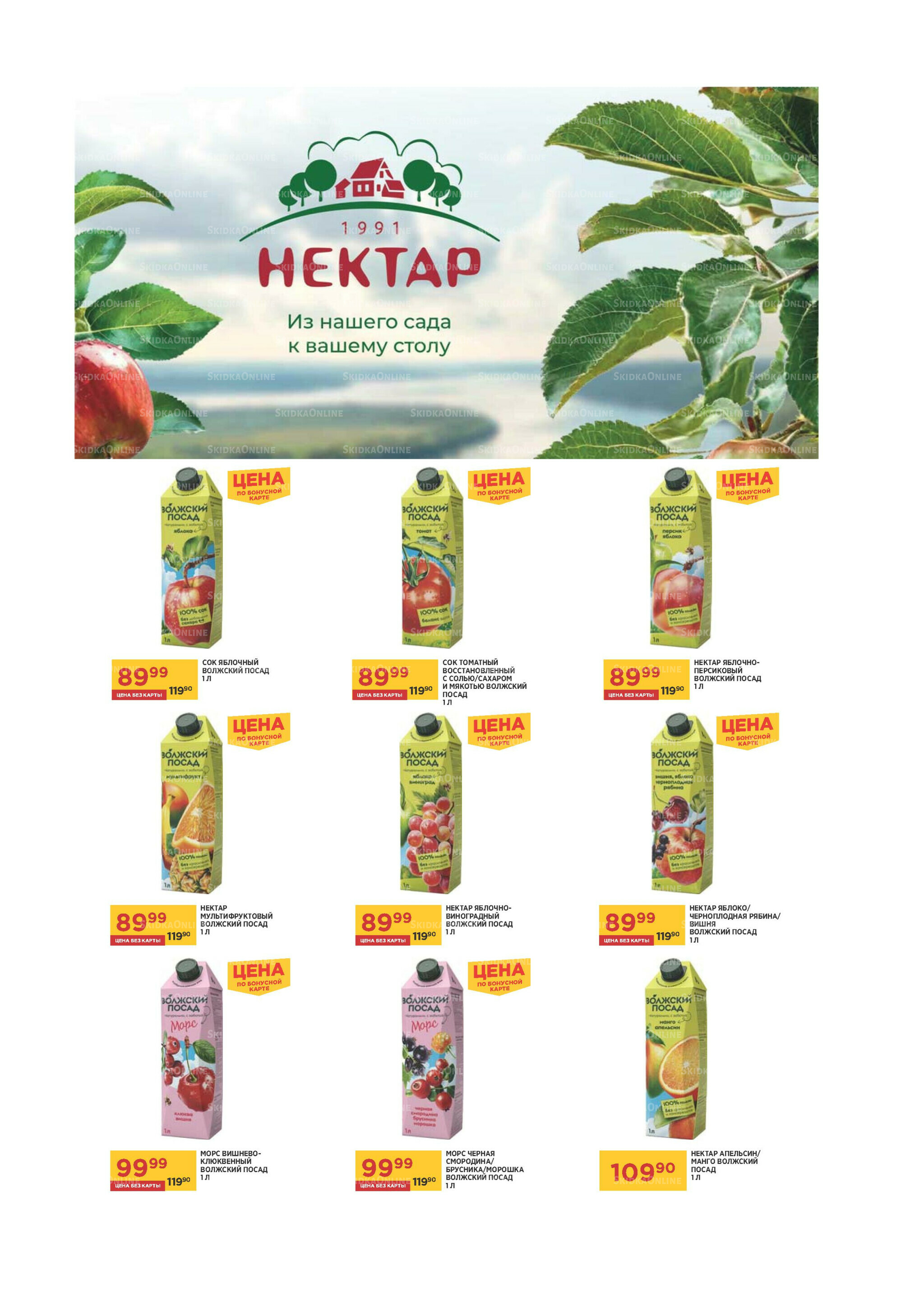 Каталог 11 Августа - 14 Сентября 2025 3