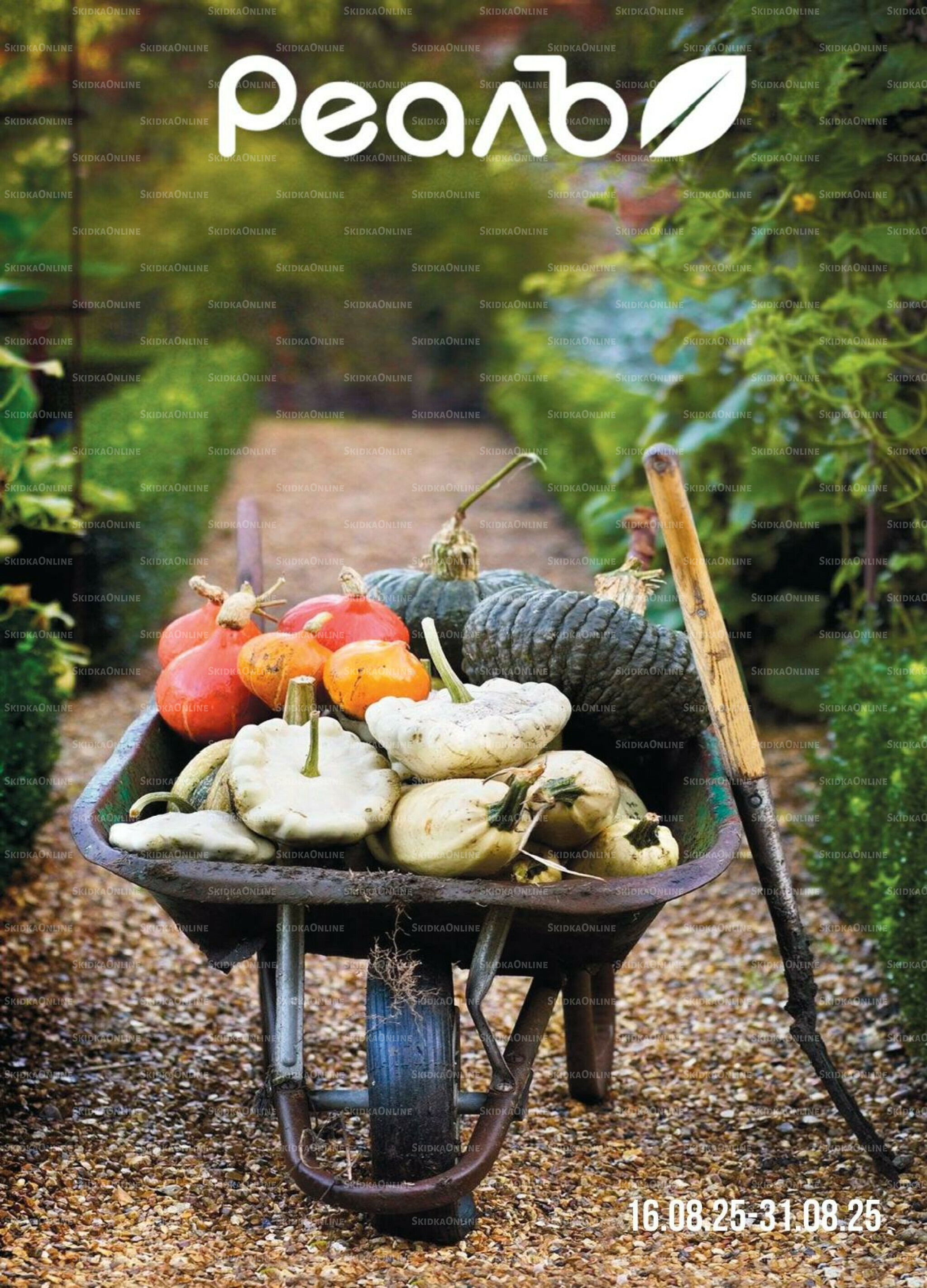 Каталог 16  - 31 Августа 2025 1