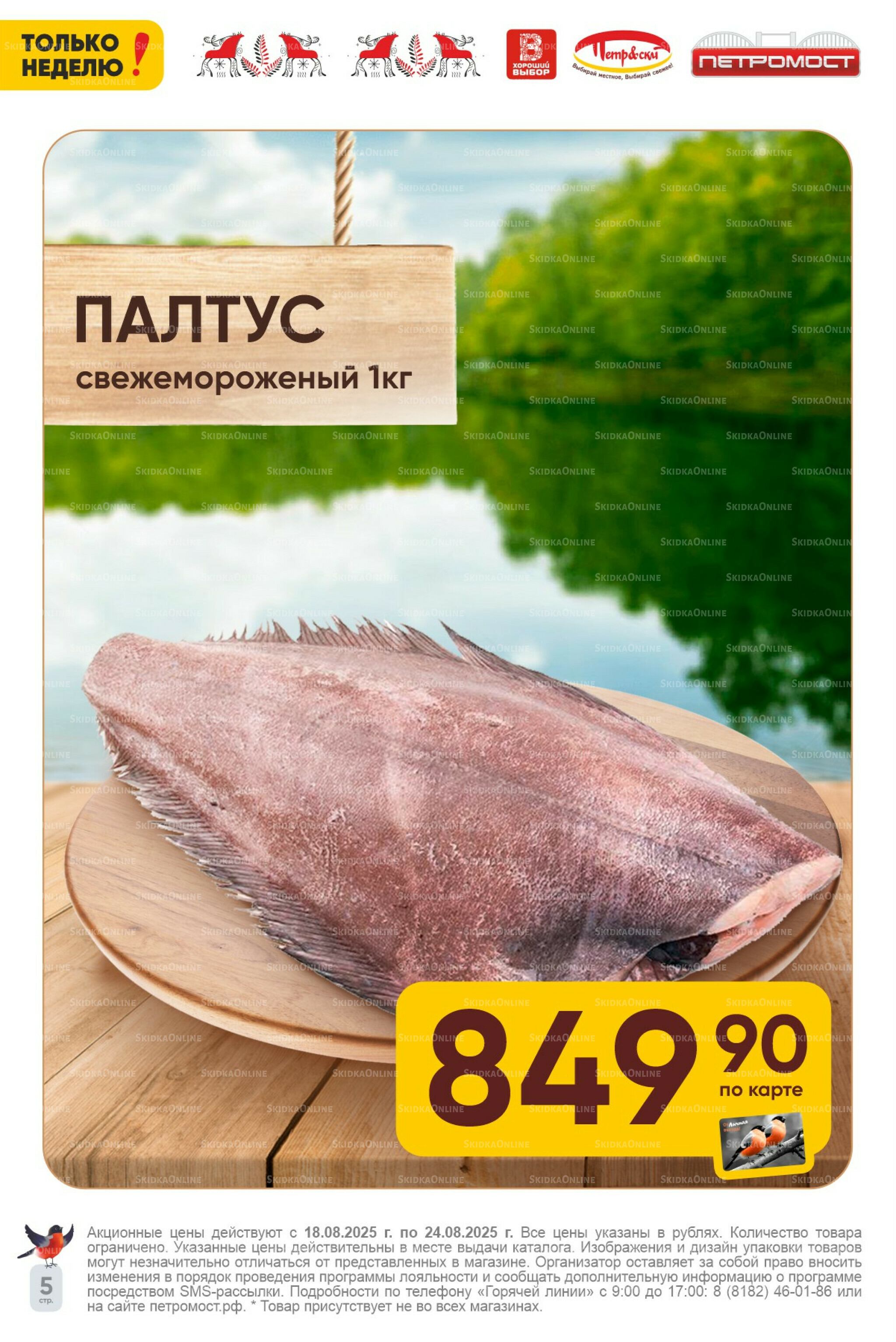 Только неделю! 18  - 24 Августа 2025 5