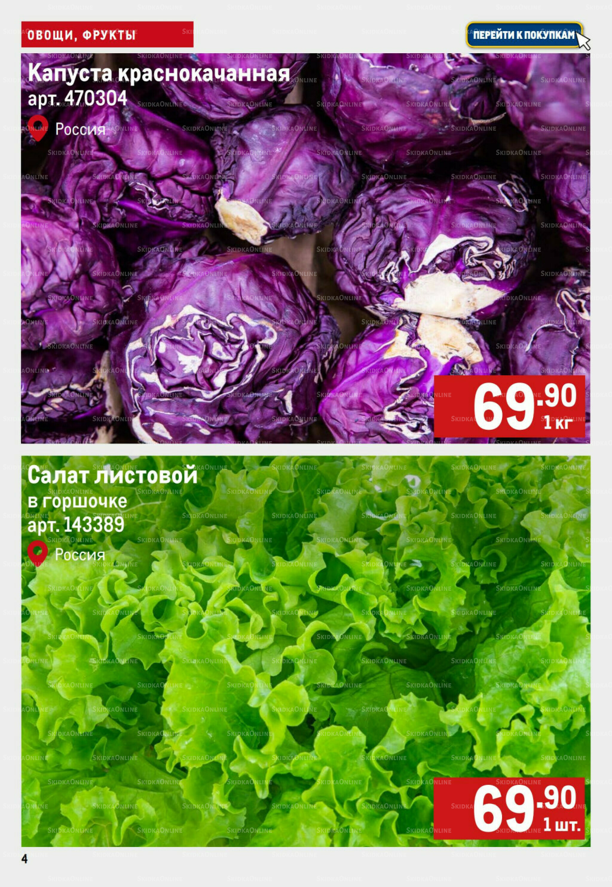 Свежие овощи и фрукты 21  - 27 Августа 2025 4