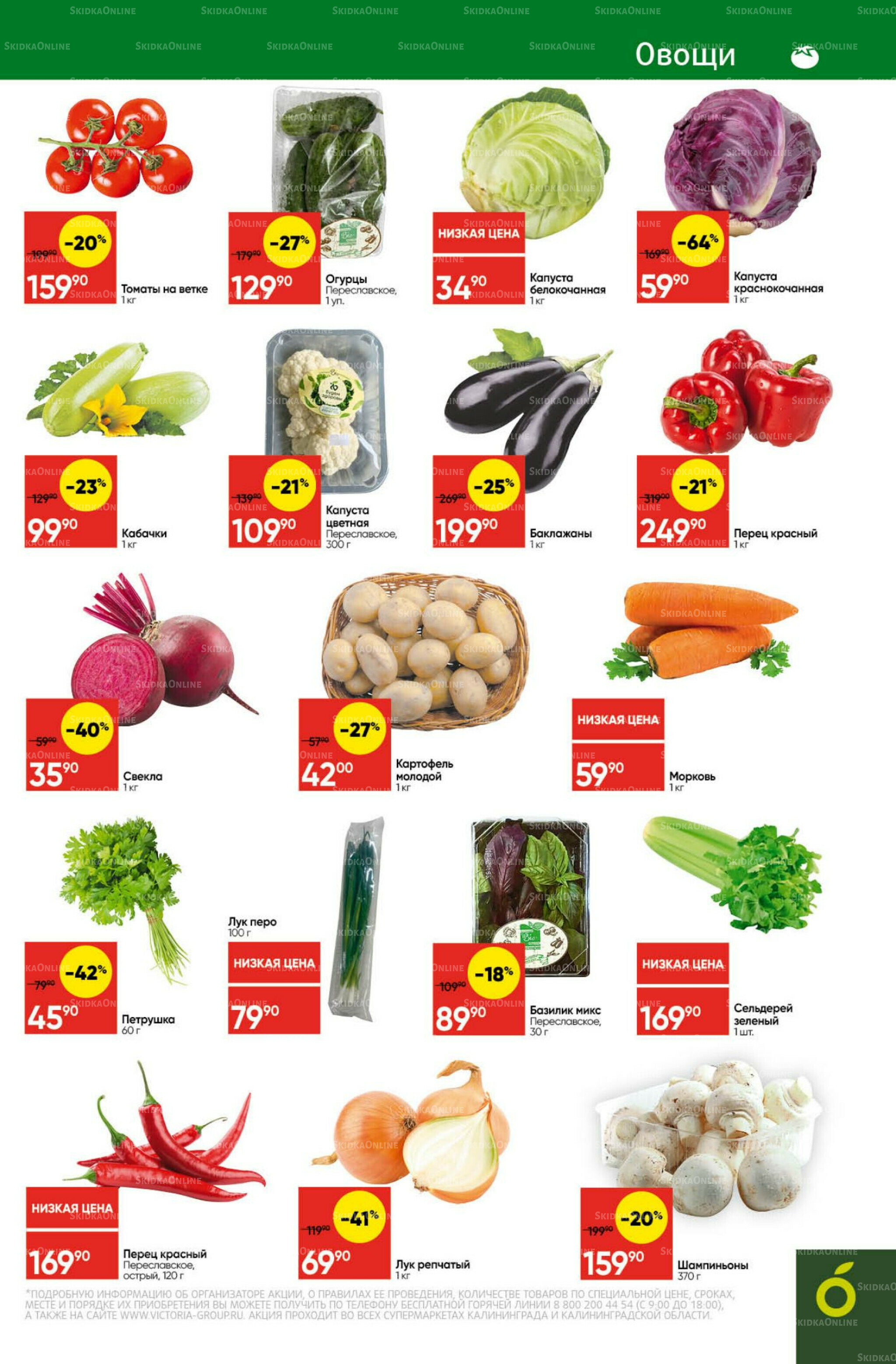 Экономьте с Викторией 25  - 31 Августа 2025 3