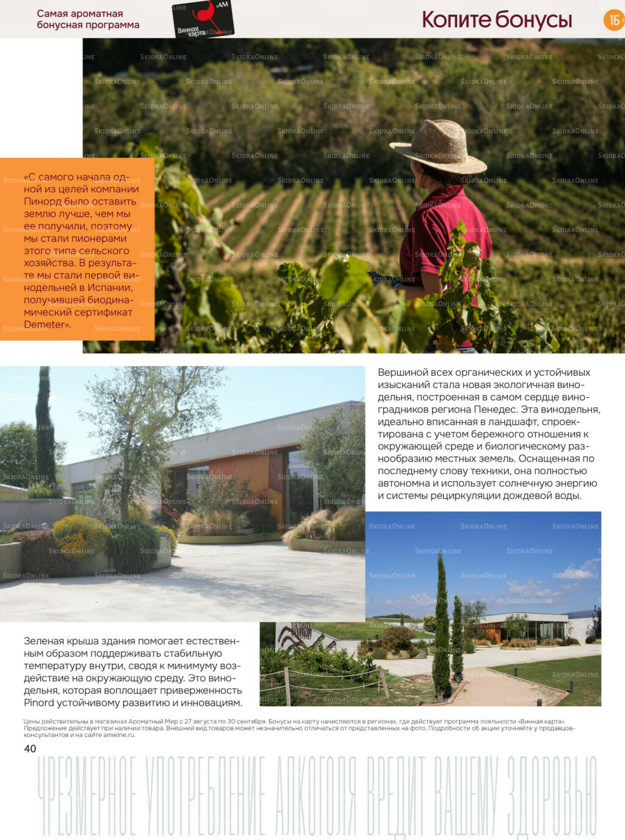 Акционные предложения 27 Августа - 30 Сентября 2025 40