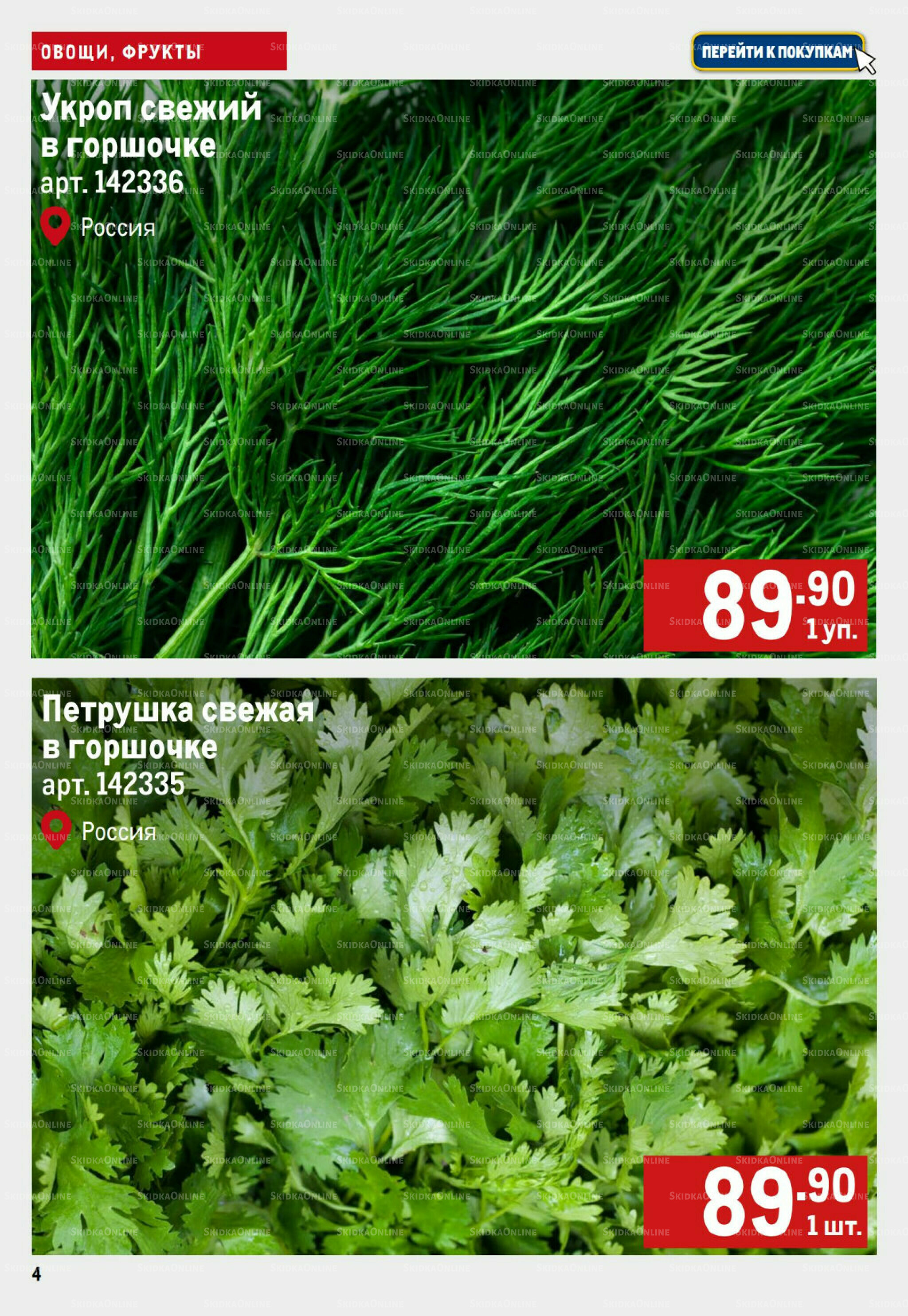 Свежие овощи и фрукты 28 Августа - 3 Сентября 2025 4