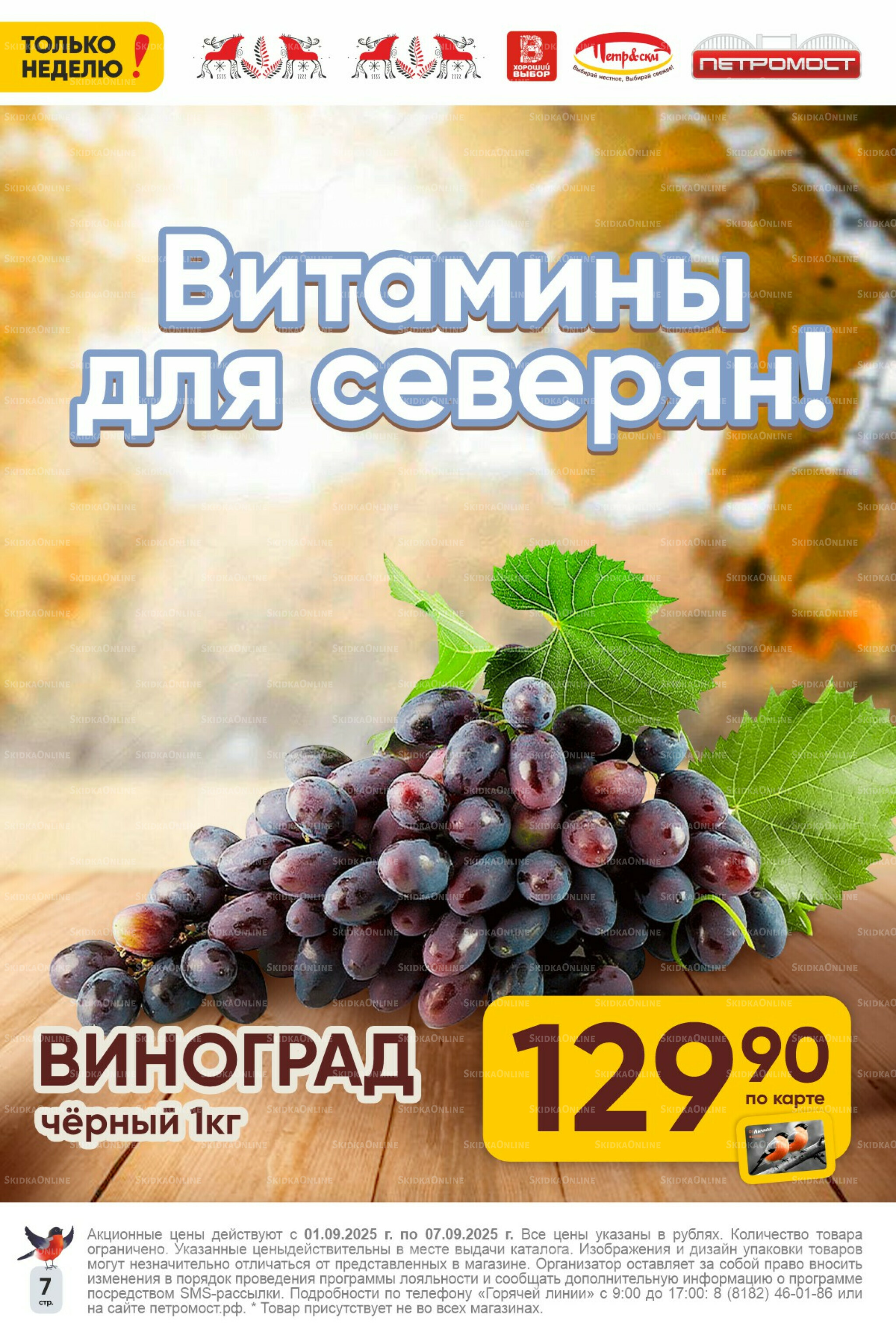 Только неделю! 1  - 7 Сентября 2025 7