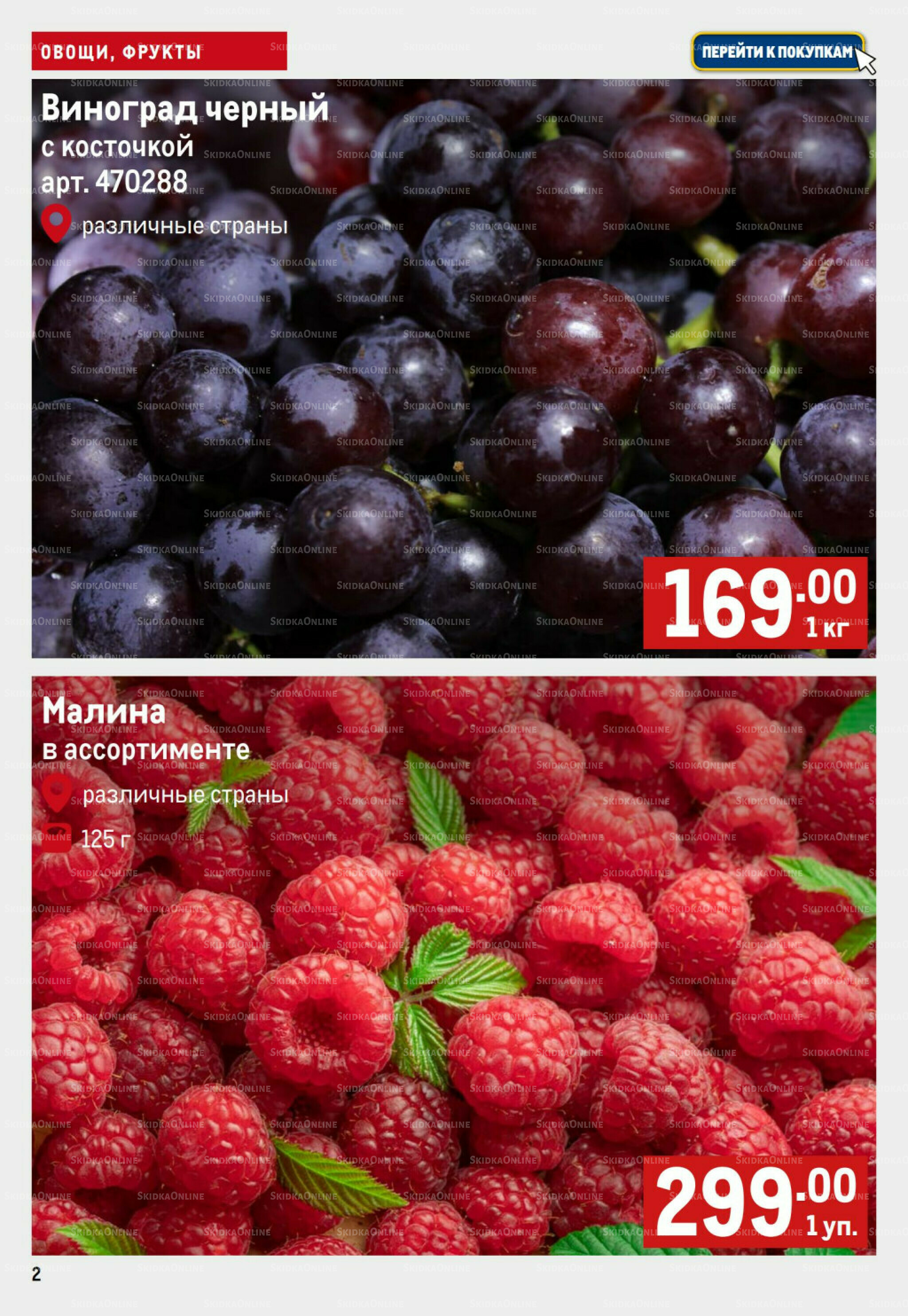 Свежие овощи и фрукты 4  - 10 Сентября 2025 2