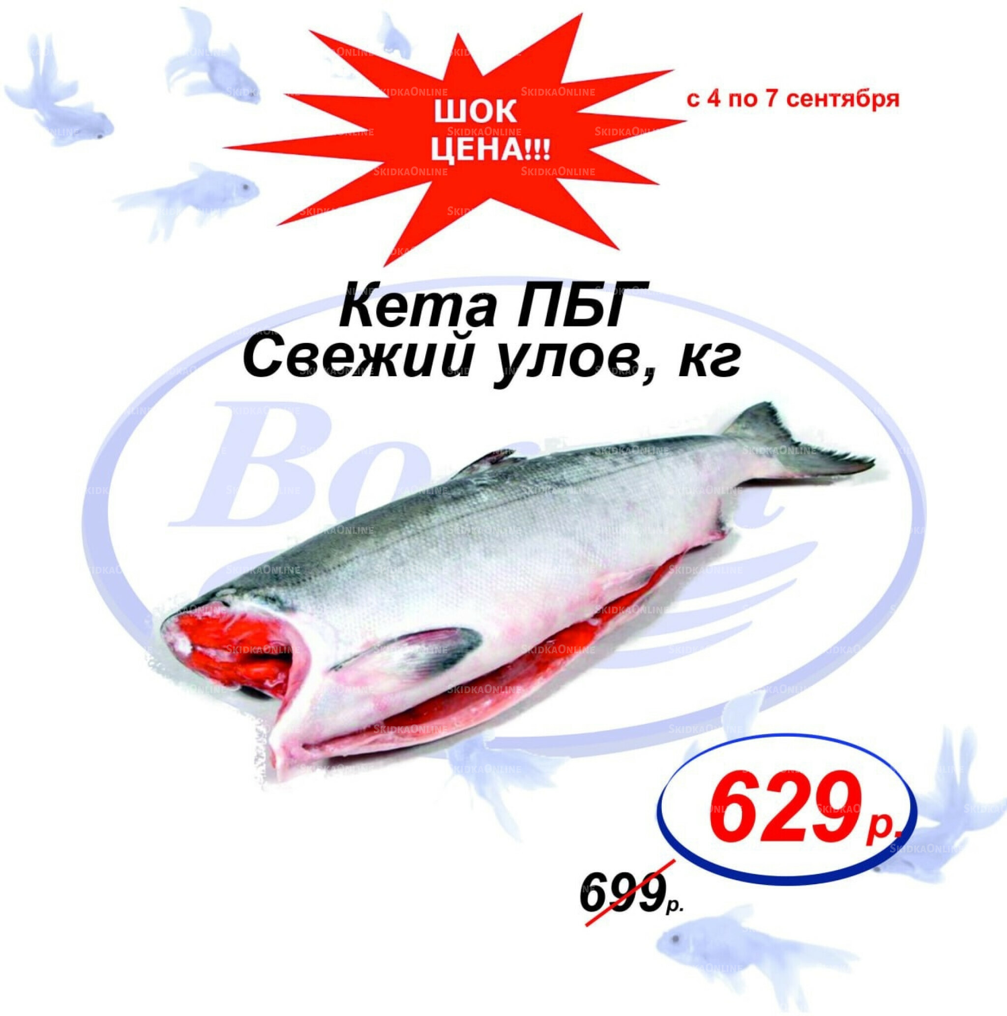 Шок цена 4  - 7 Сентября 2025 5