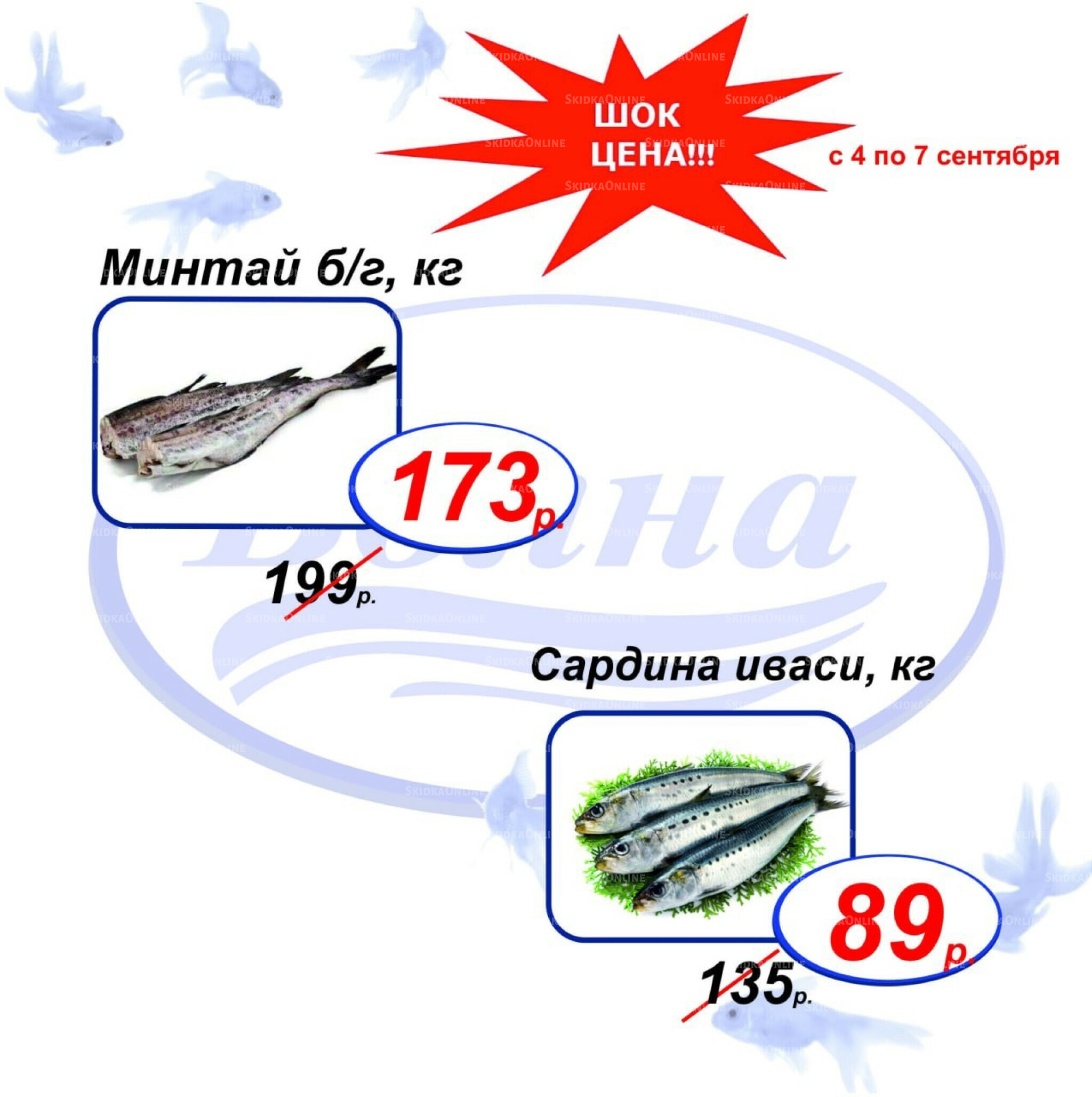 Шок цена 4  - 7 Сентября 2025 4