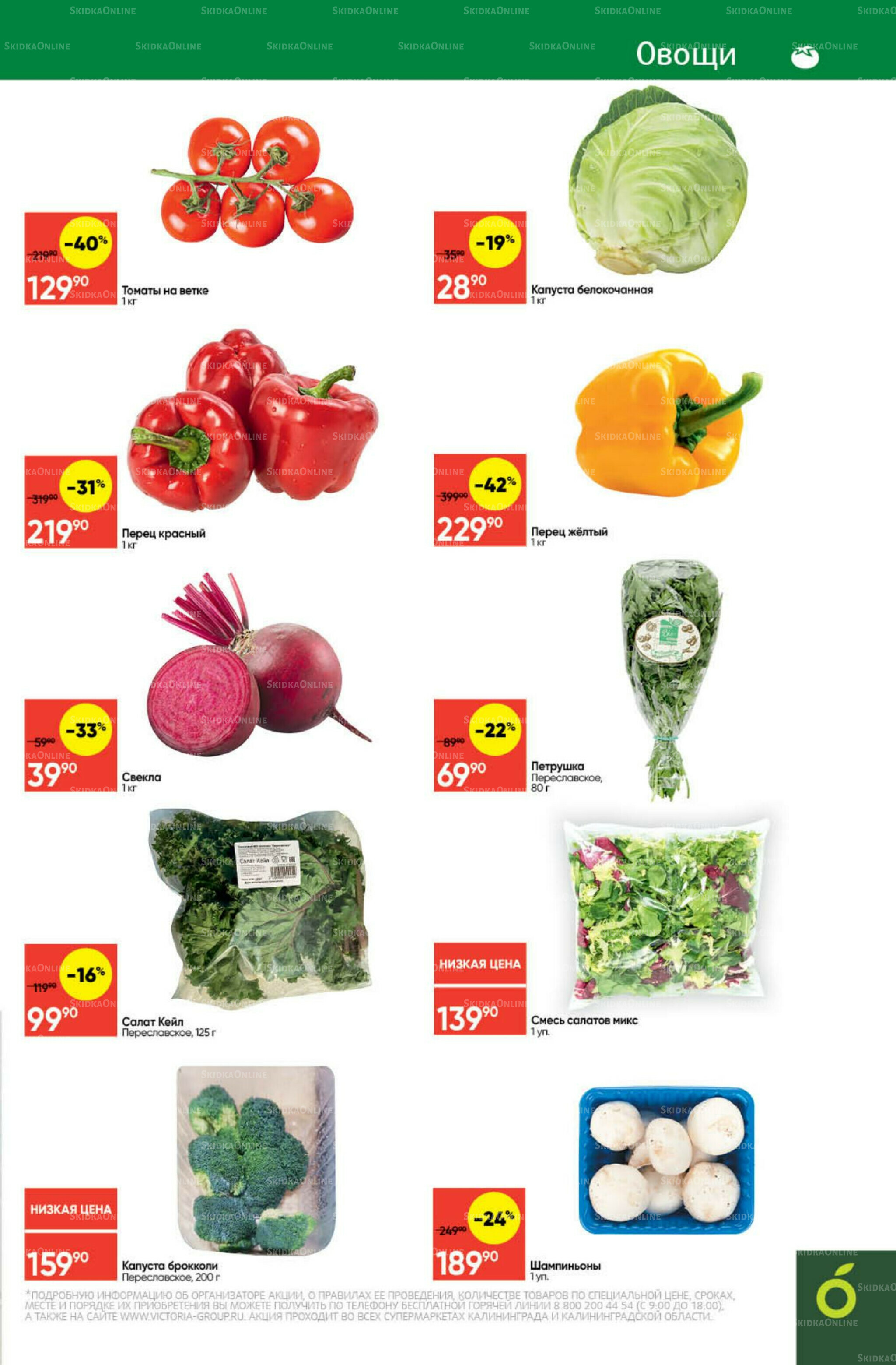 Экономьте с Викторией 8  - 14 Сентября 2025 3