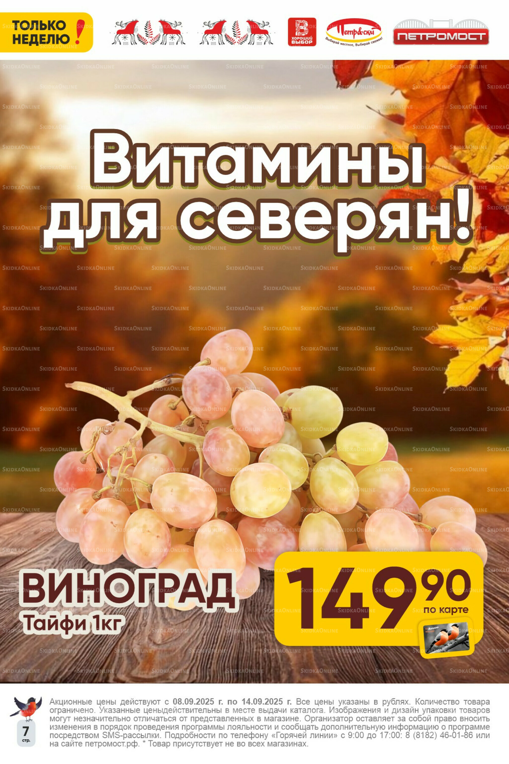 Только неделю! 8  - 14 Сентября 2025 7