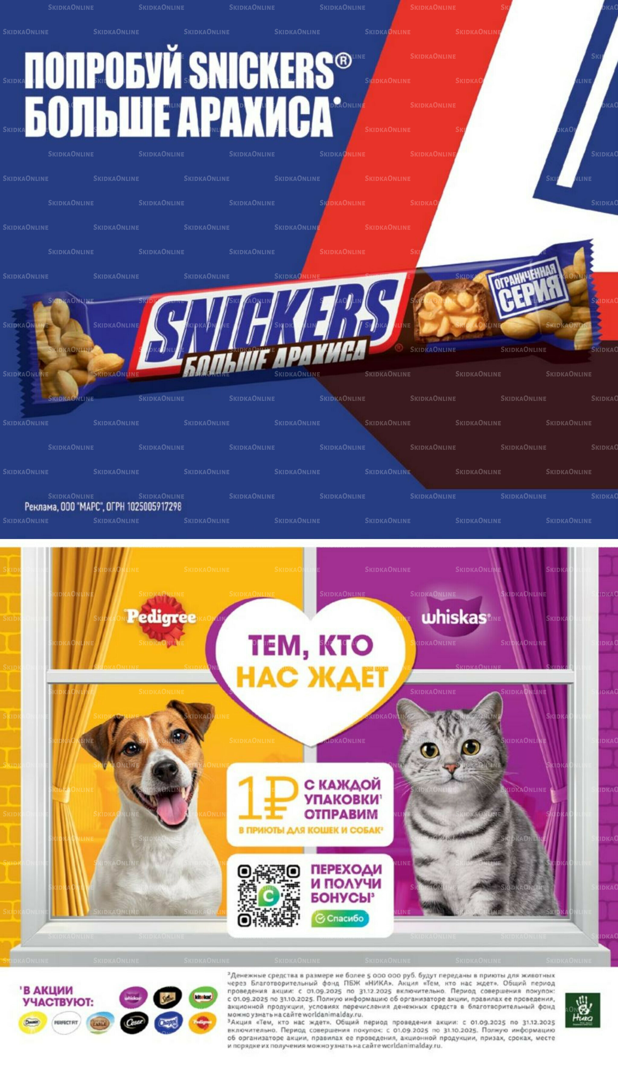 Октябрь  11 Сентября - 7 Октября 2025 35