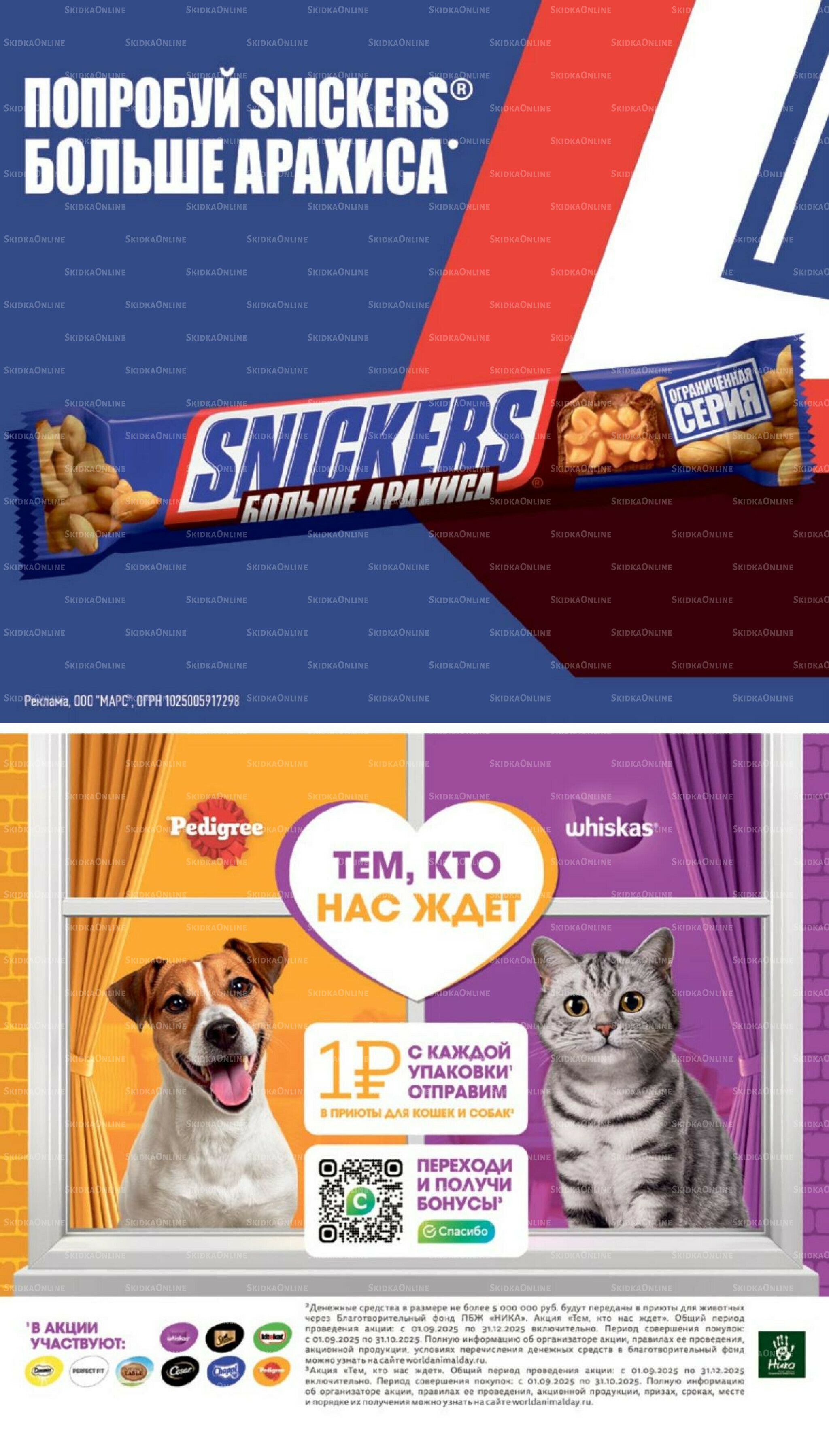 Октябрь  11 Сентября - 7 Октября 2025 36