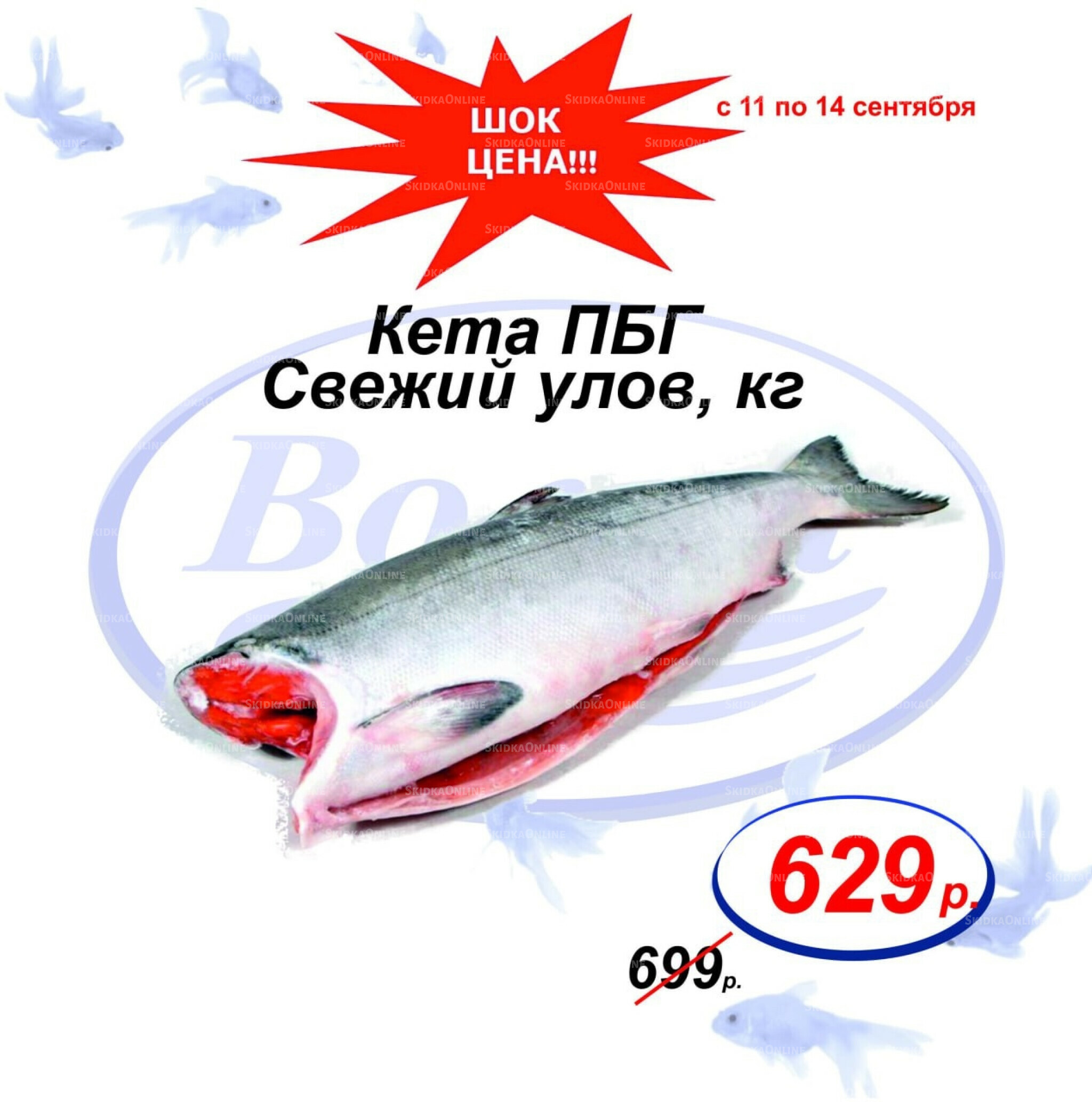 Шок цена 11  - 14 Сентября 2025 5