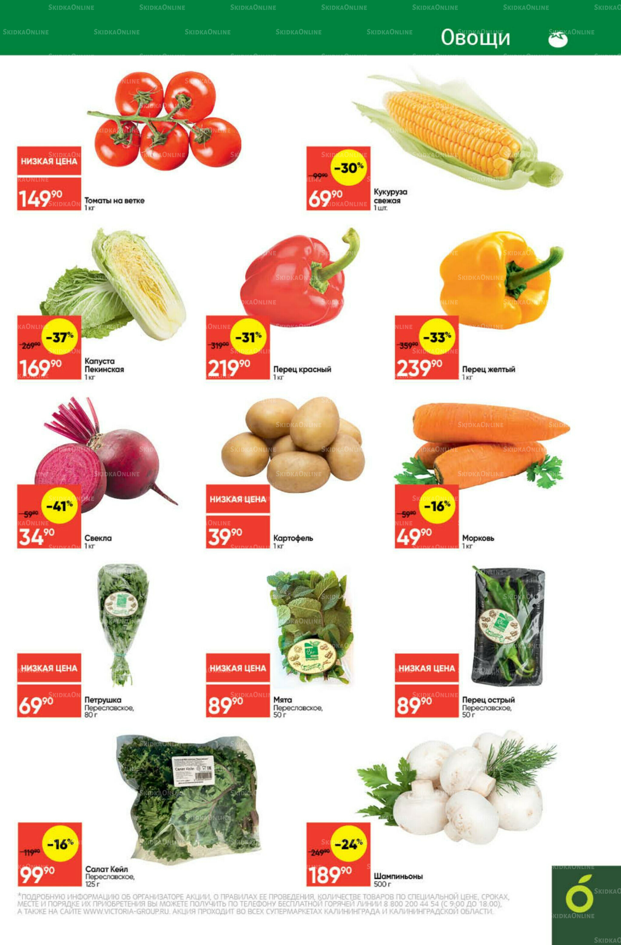 Экономьте с Викторией 15  - 21 Сентября 2025 3