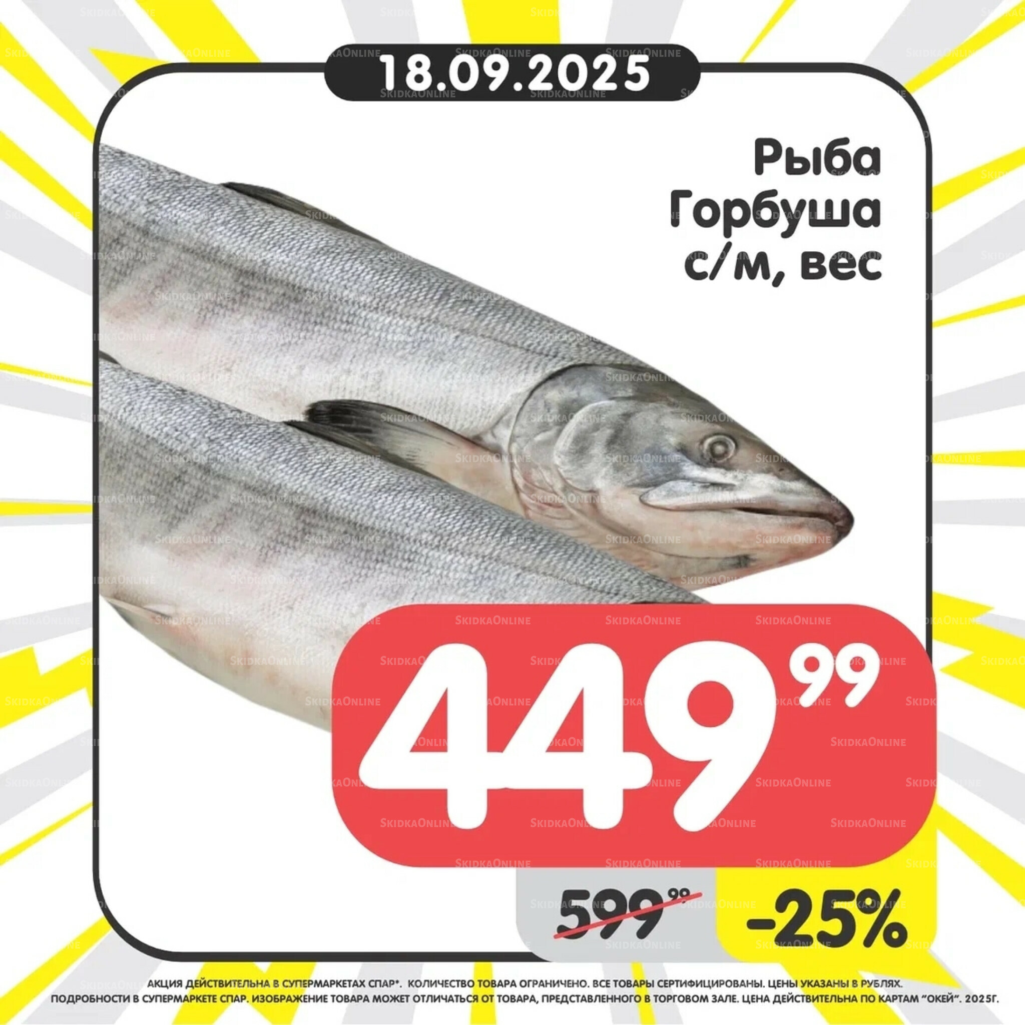 Успей купить! 15  - 21 Сентября 2025 5