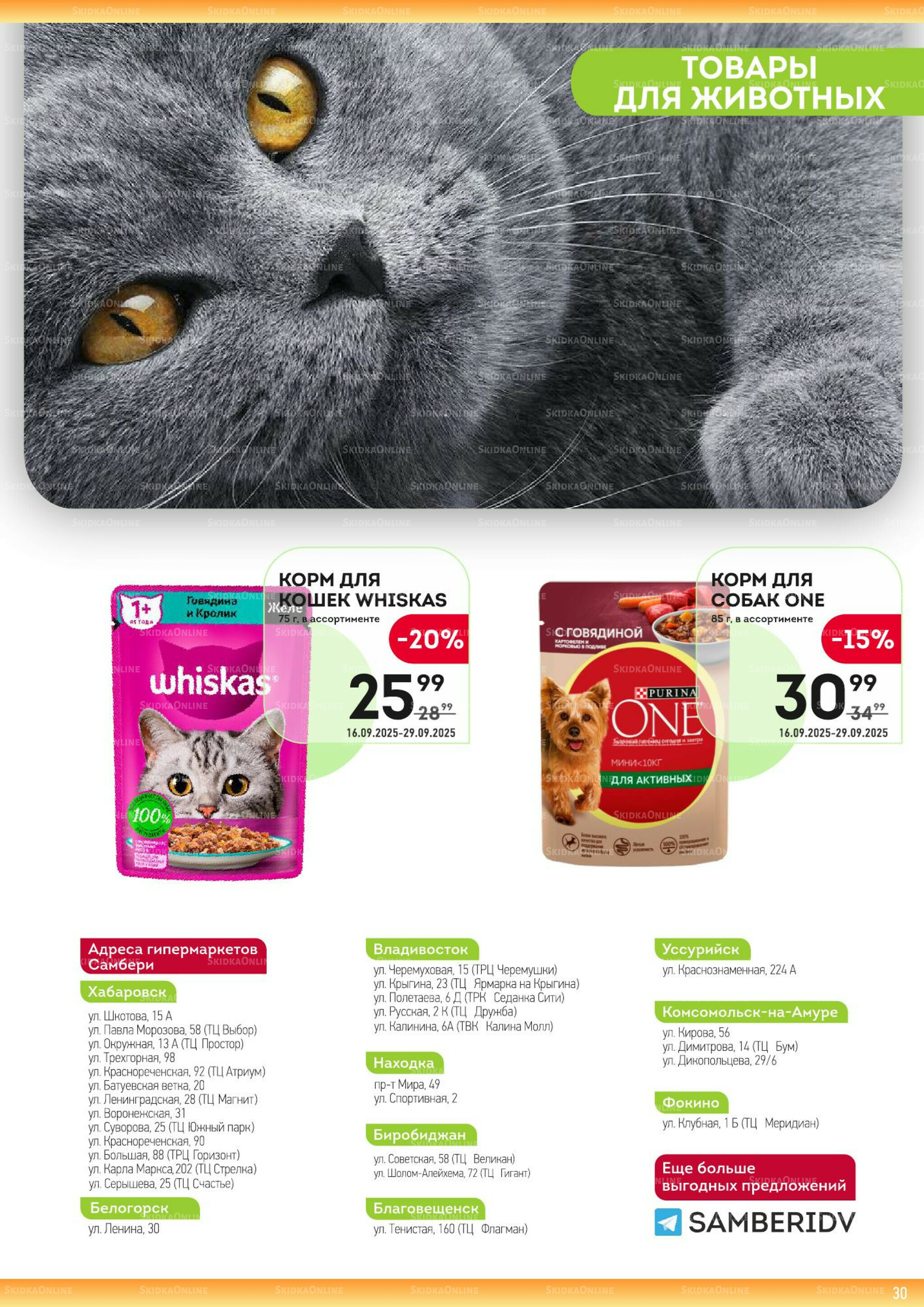 Здесь золотая осень! 16  - 29 Сентября 2025 30