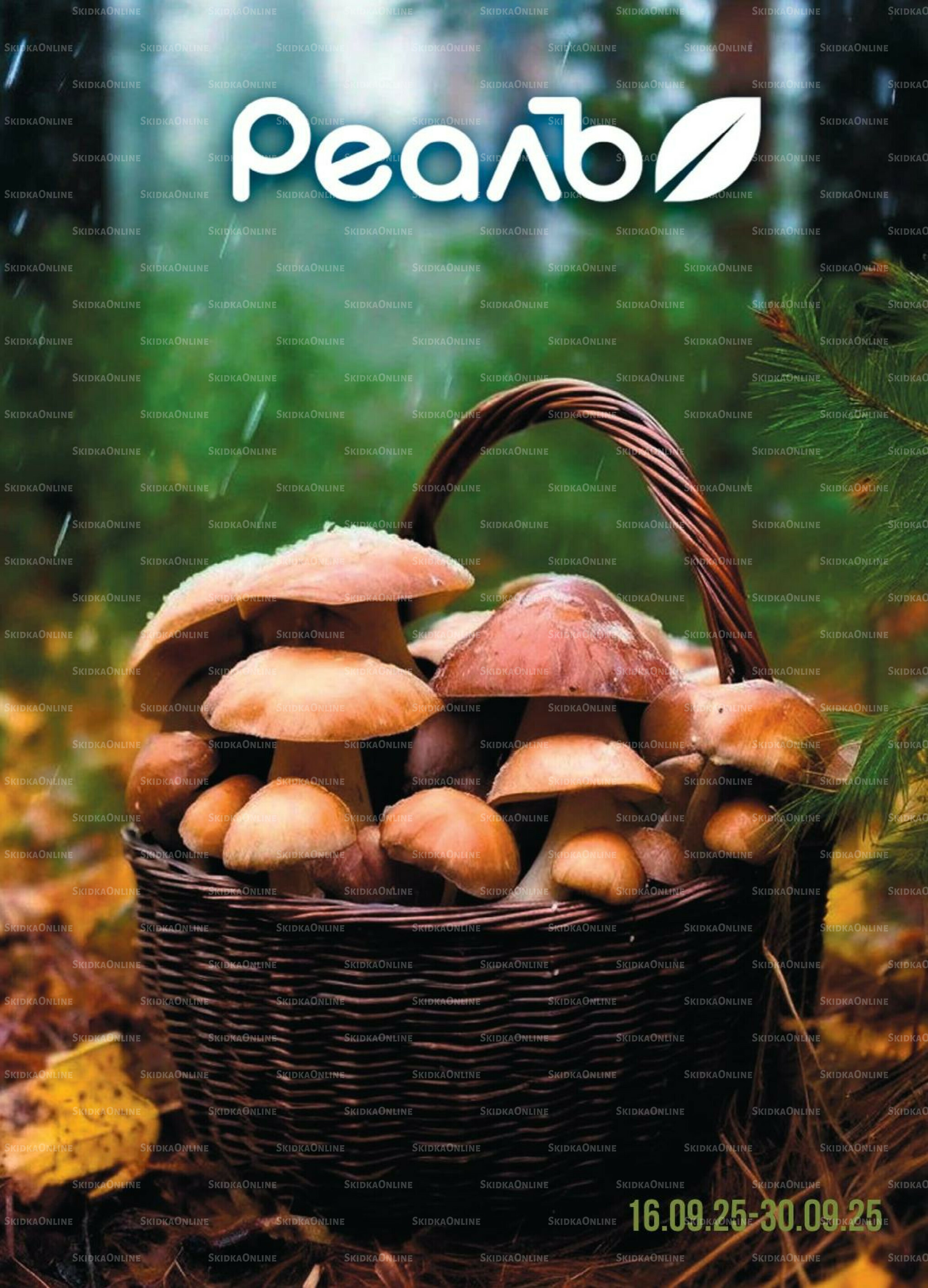 Каталог 16  - 30 Сентября 2025 1