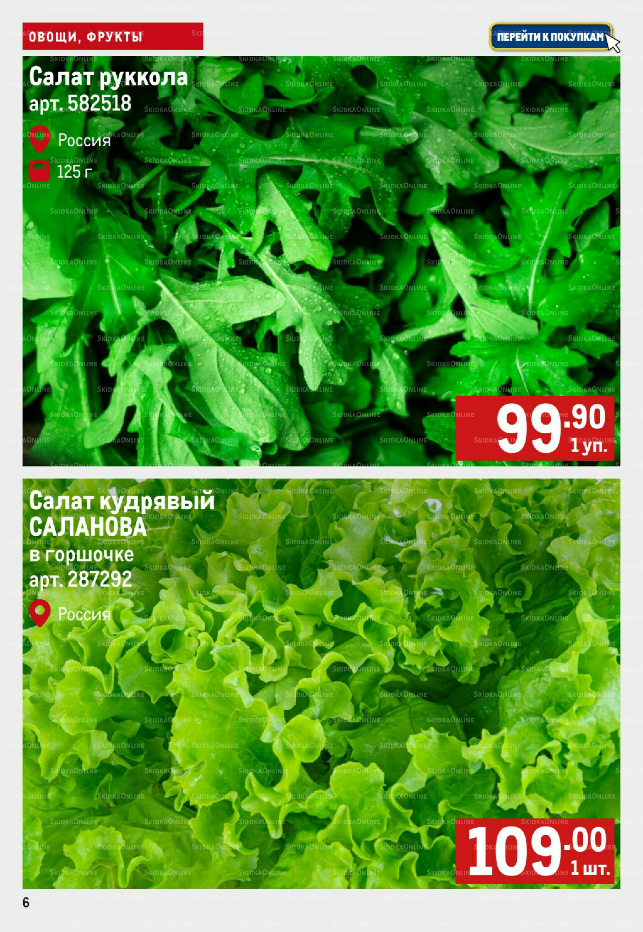 Свежие овощи и фрукты 18  - 24 Сентября 2025 6