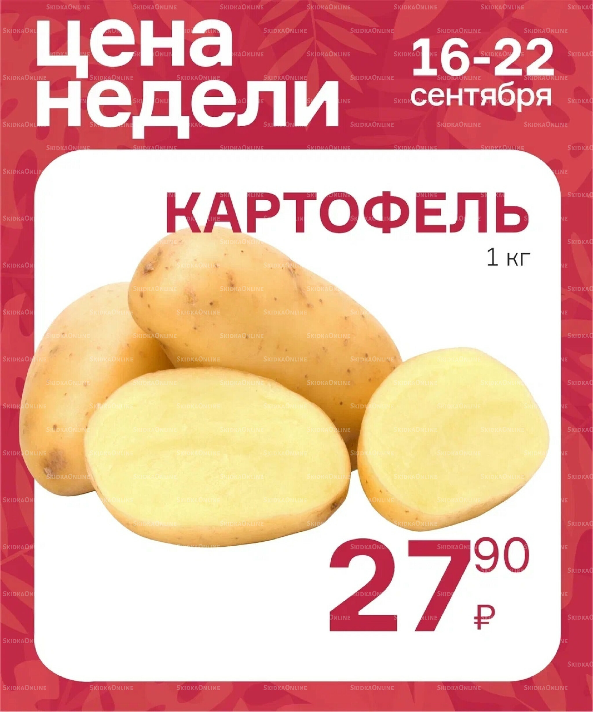 Цена недели 18  - 24 Сентября 2025 9