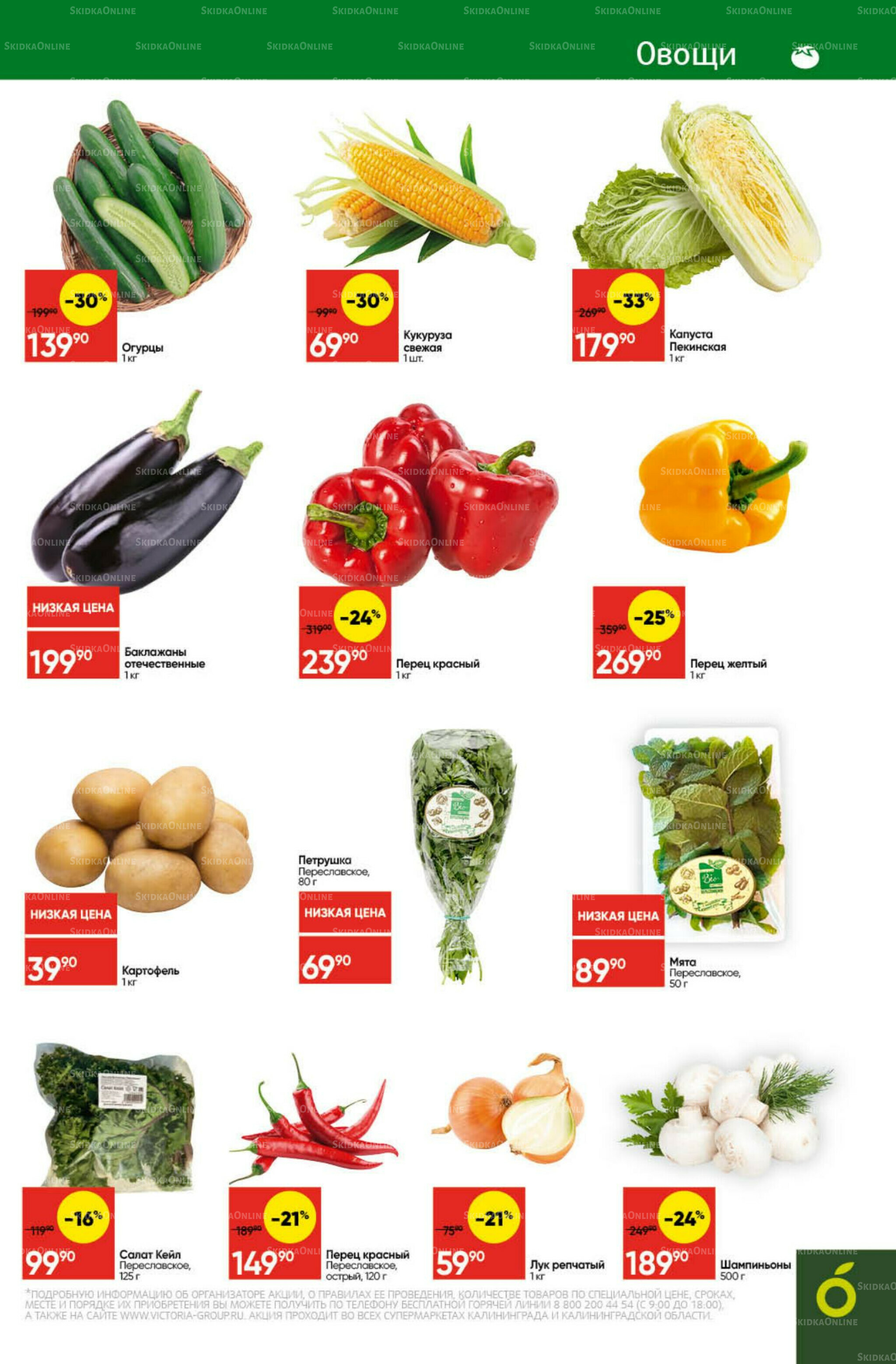 Экономьте с Викторией 22  - 28 Сентября 2025 3