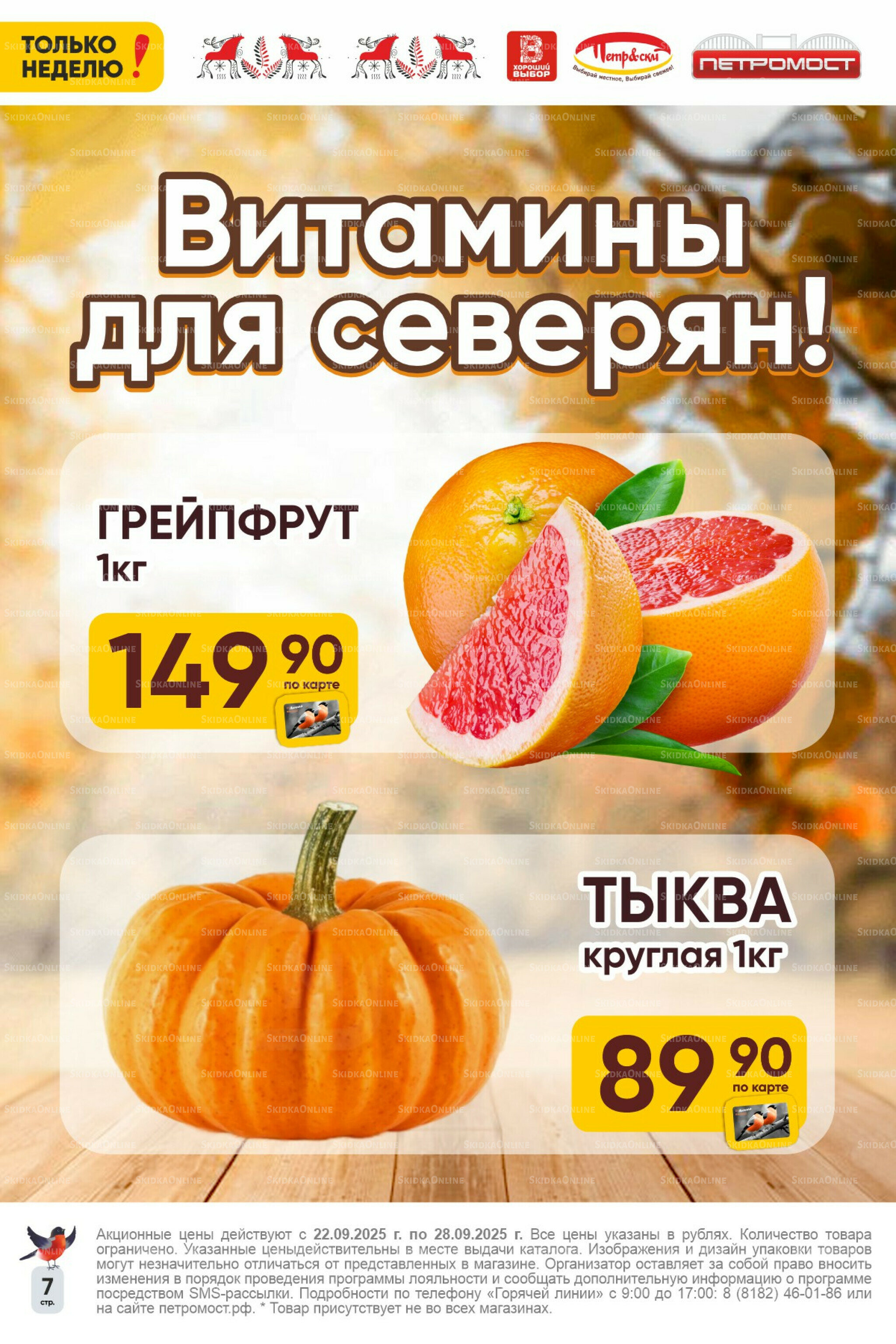 Только неделю! 22  - 28 Сентября 2025 7