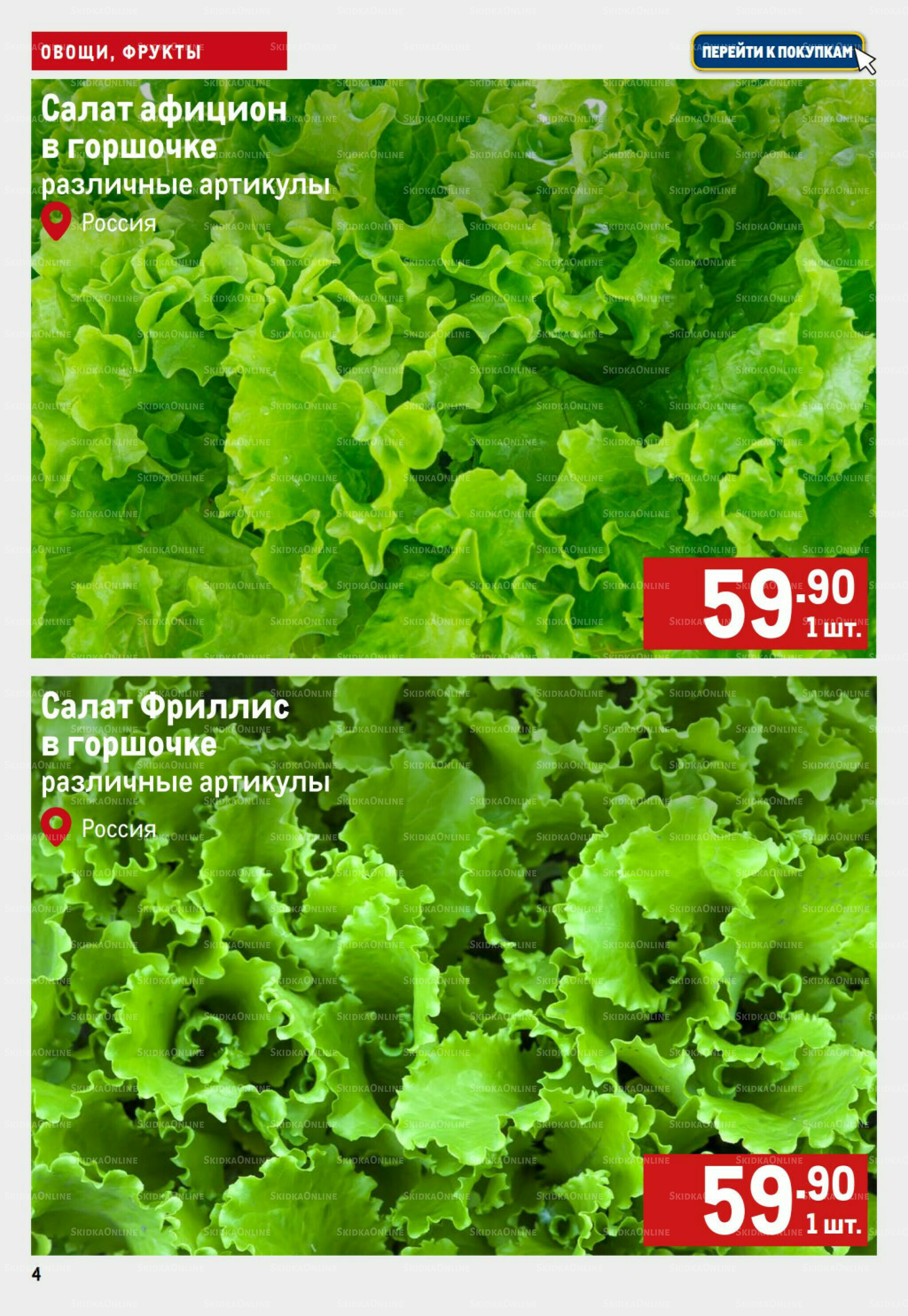 Свежие овощи и фрукты 25 Сентября - 1 Октября 2025 4