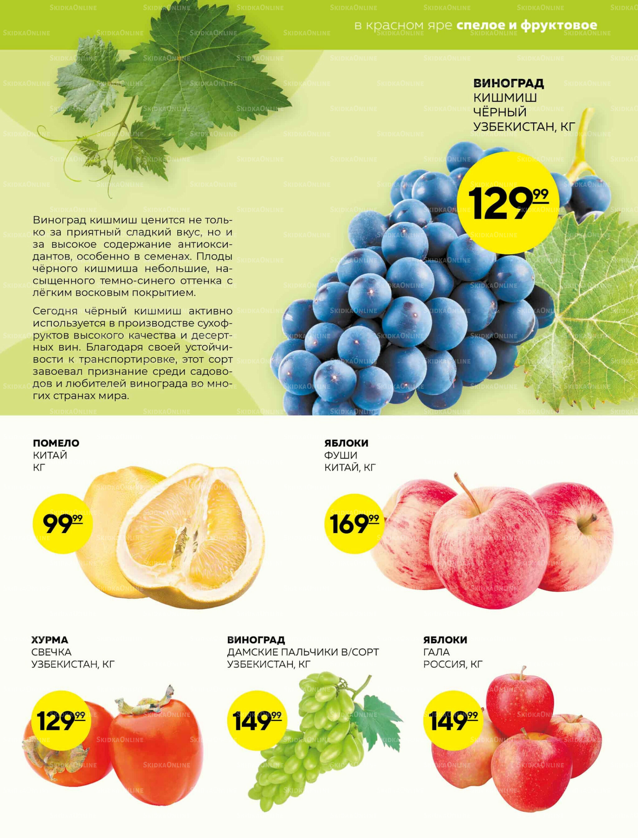 Каталог 2  - 8 Октября 2025 9