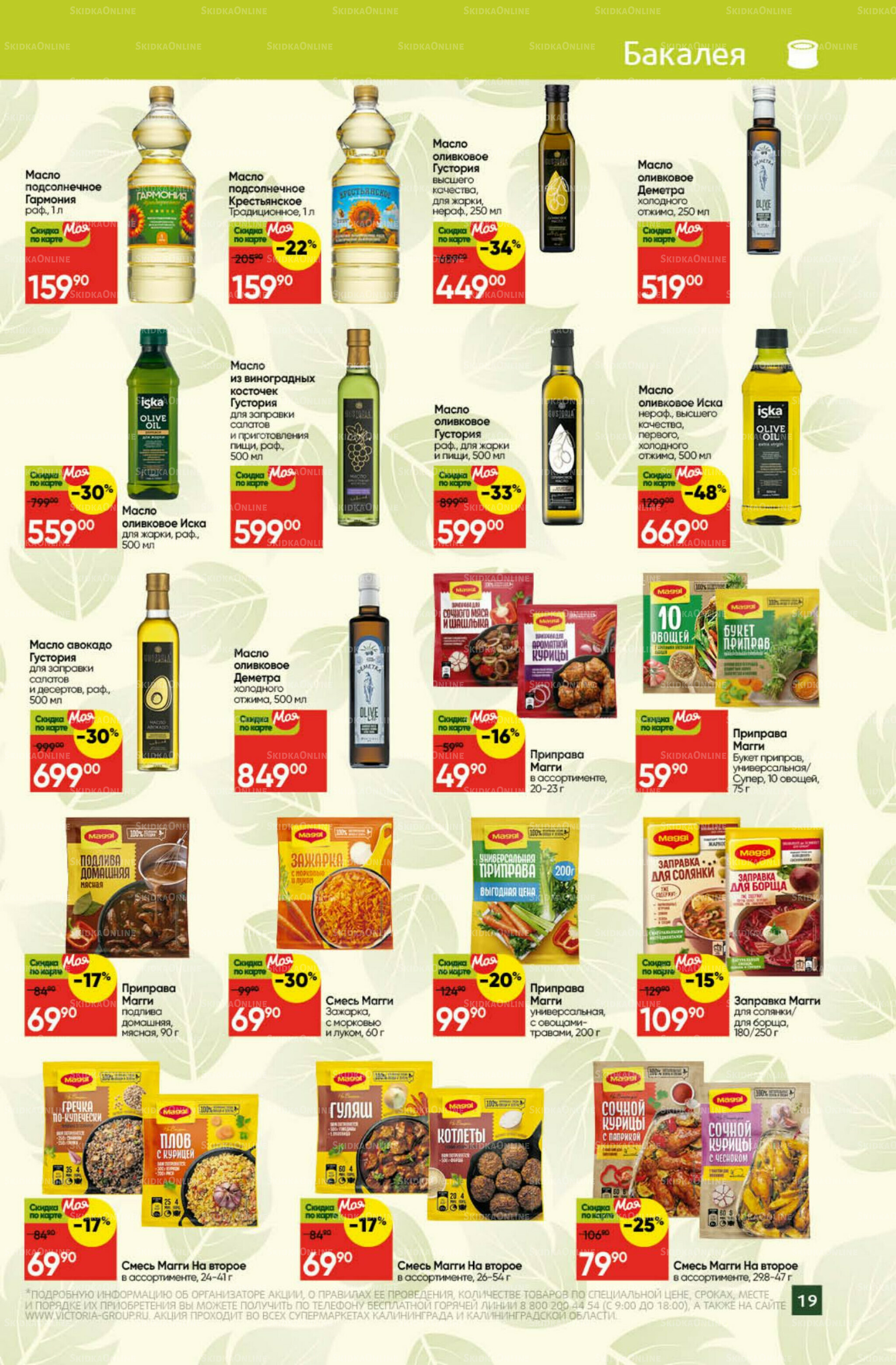 Фестиваль октября 1  - 31 Октября 2025 19