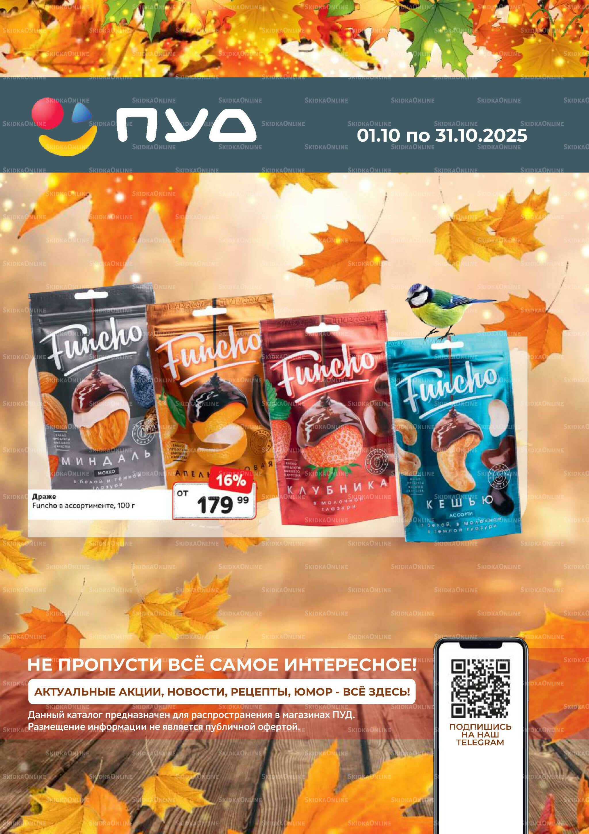 Каталог 1  - 31 Октября 2025 1