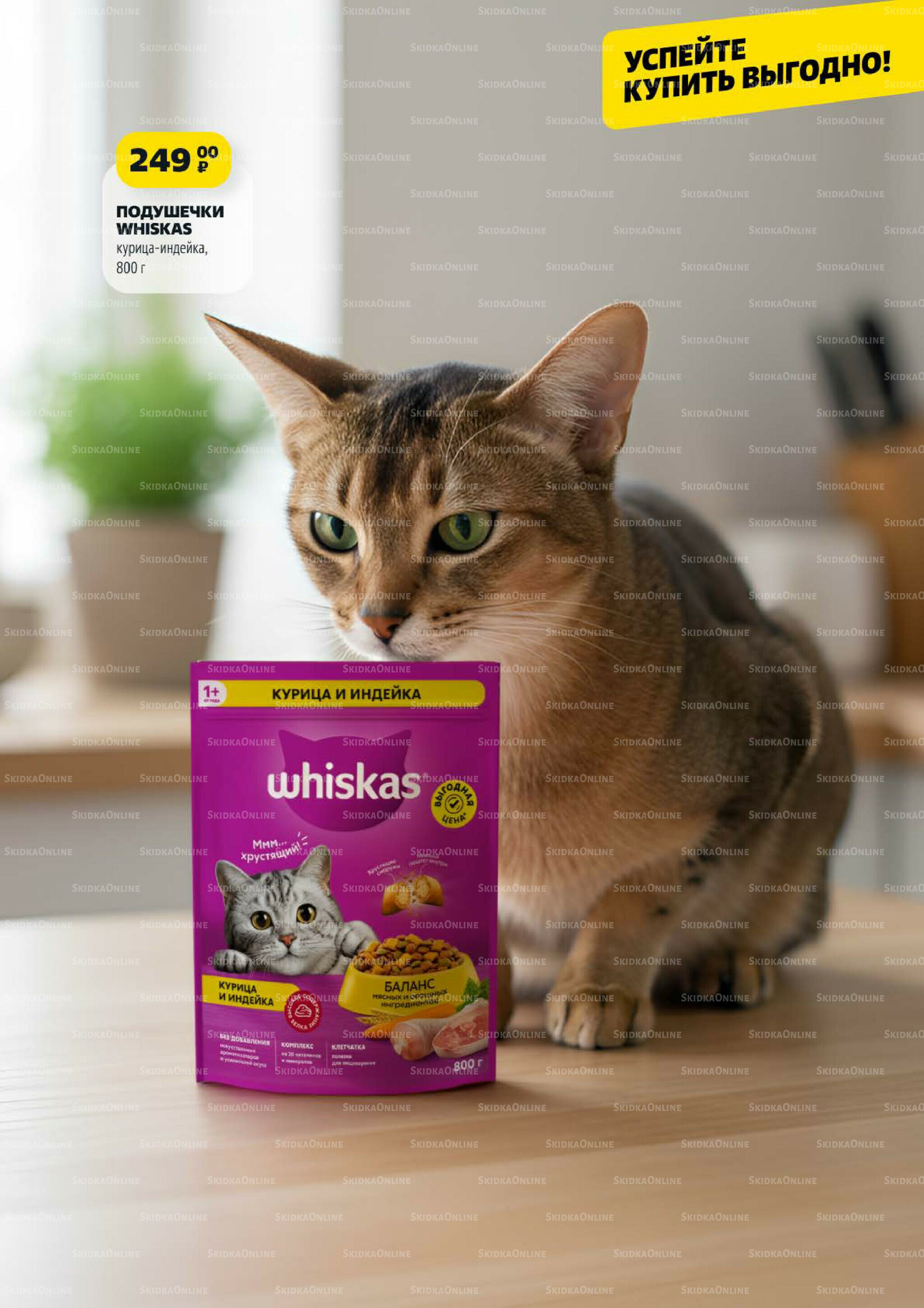 Надо успеть! 9  - 15 Октября 2025 8