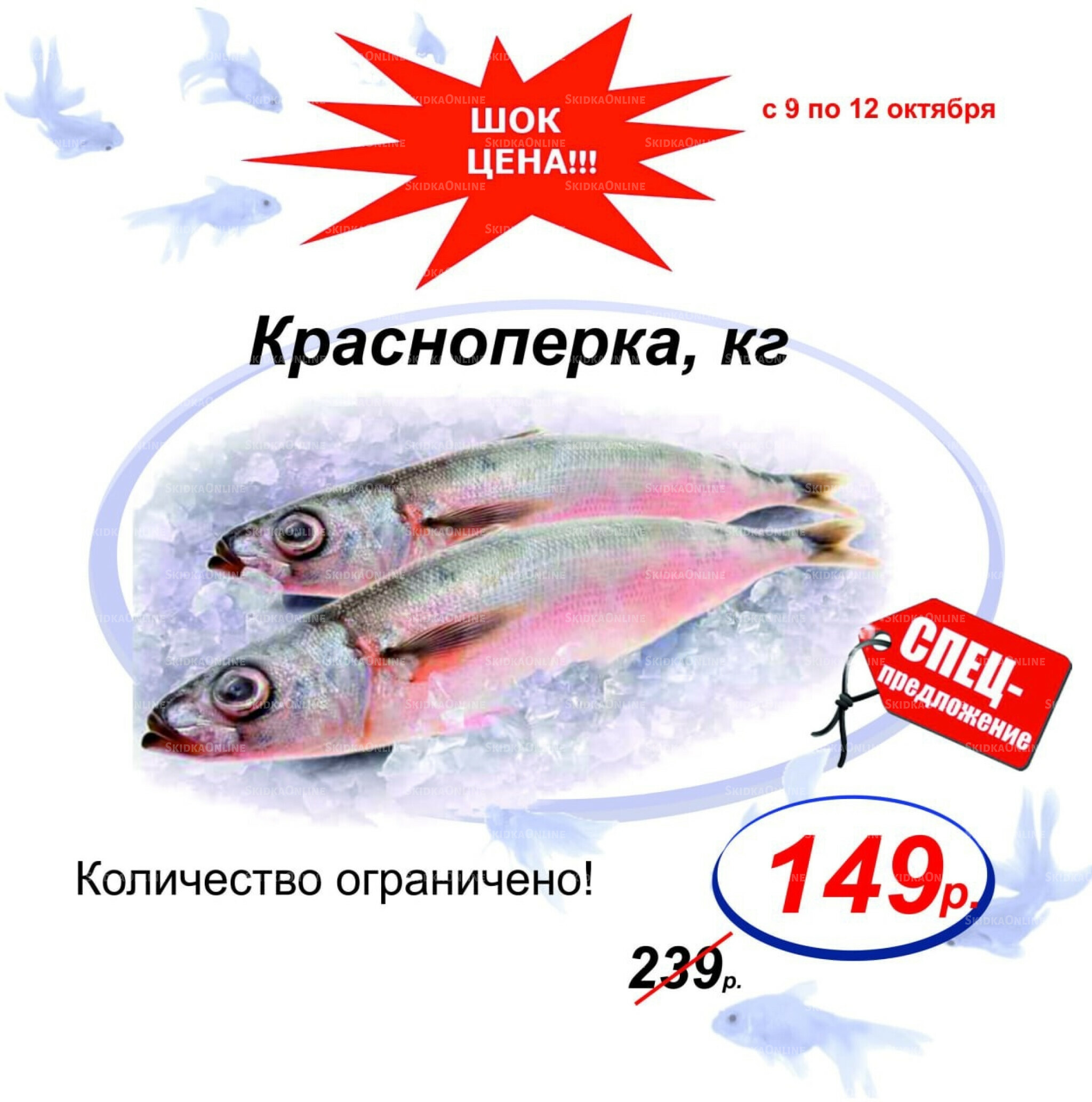 Шок цена 9  - 12 Октября 2025 5