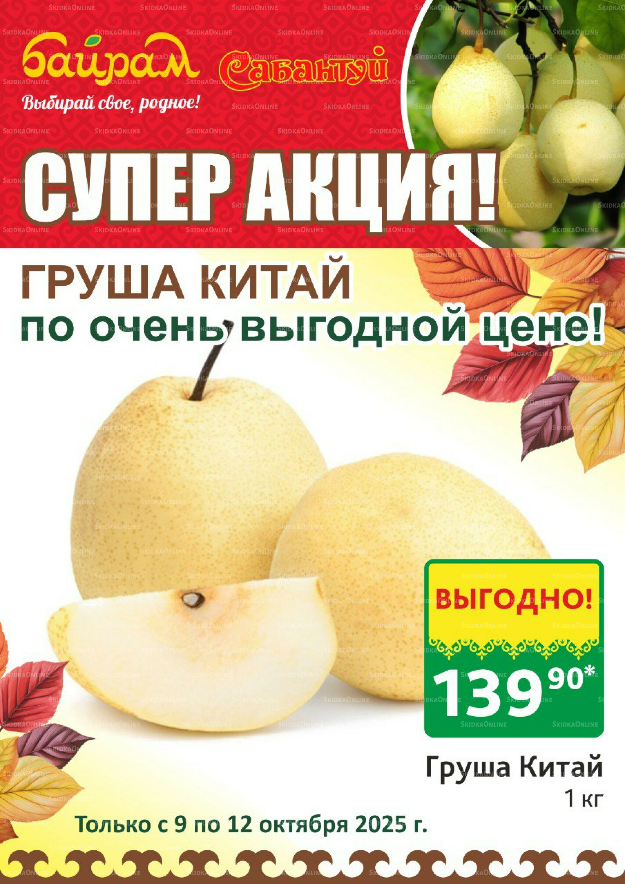 4 супер дня! 9  - 12 Октября 2025 3