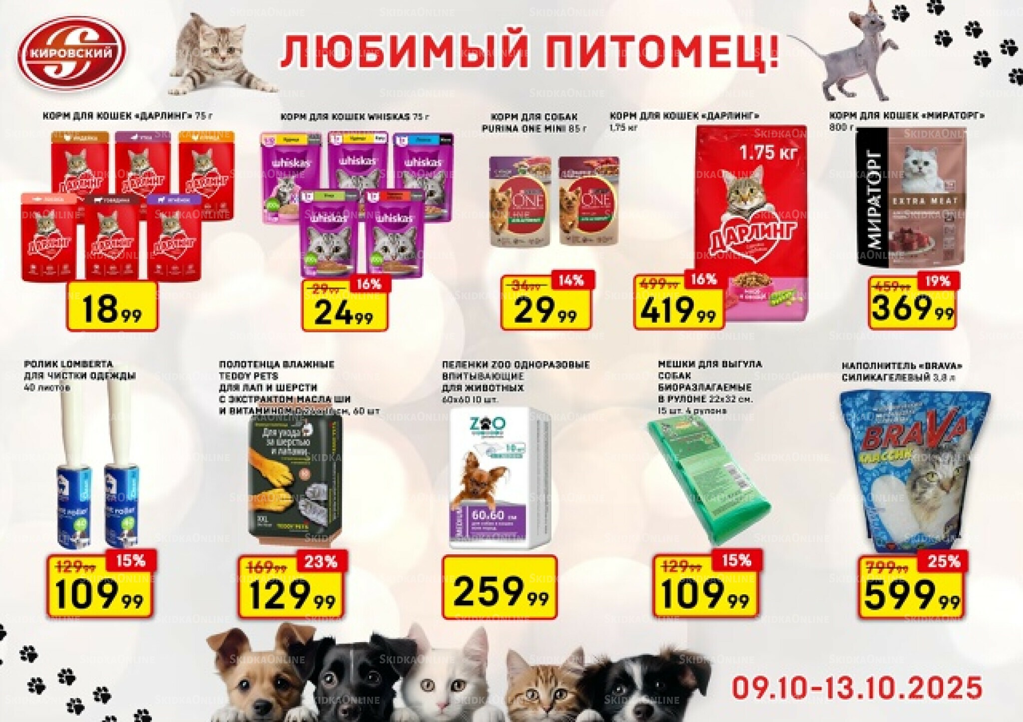 Любимый питомец! 9  - 13 Октября 2025 1