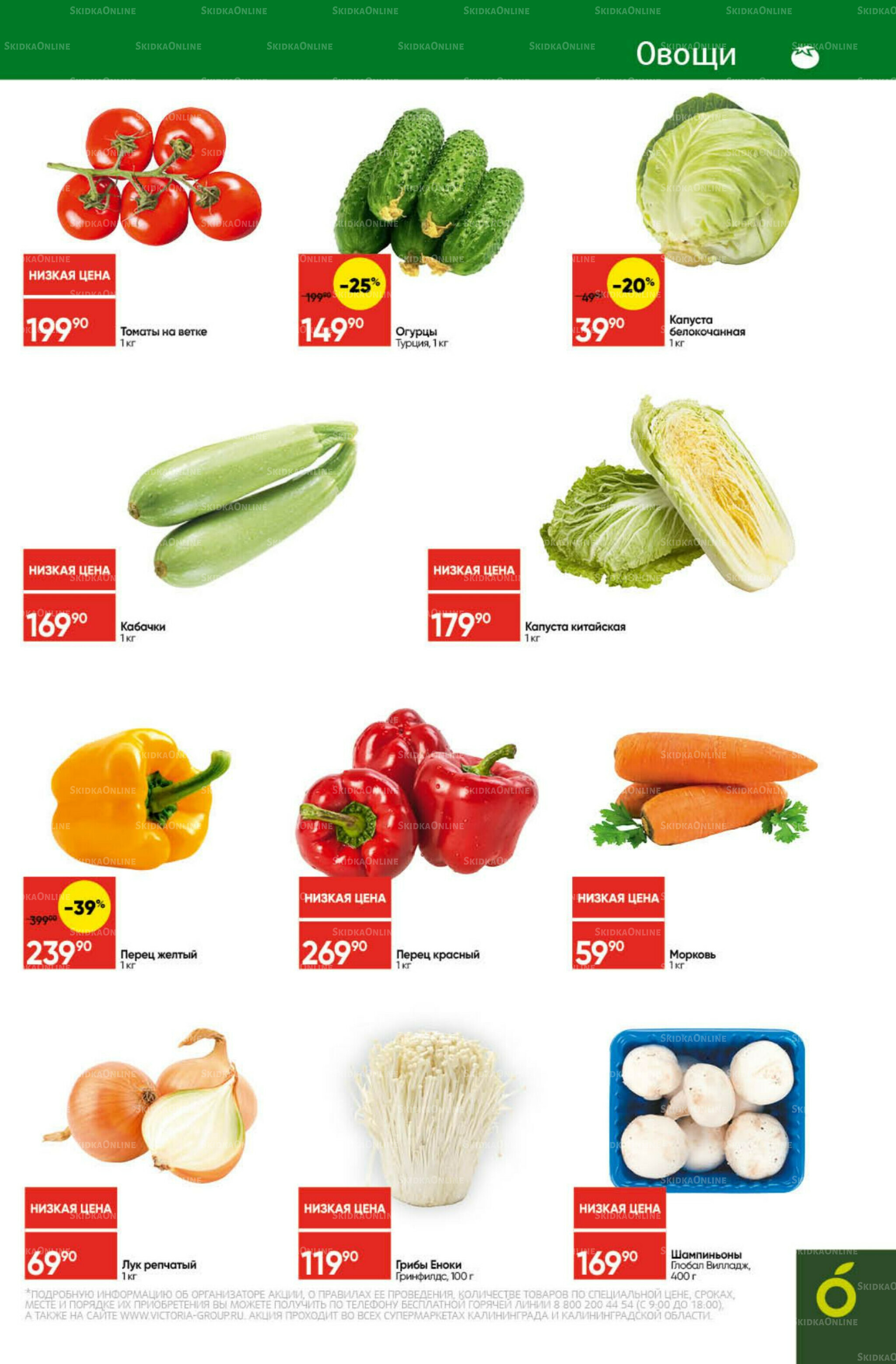 Экономьте с Викторией 13  - 19 Октября 2025 3