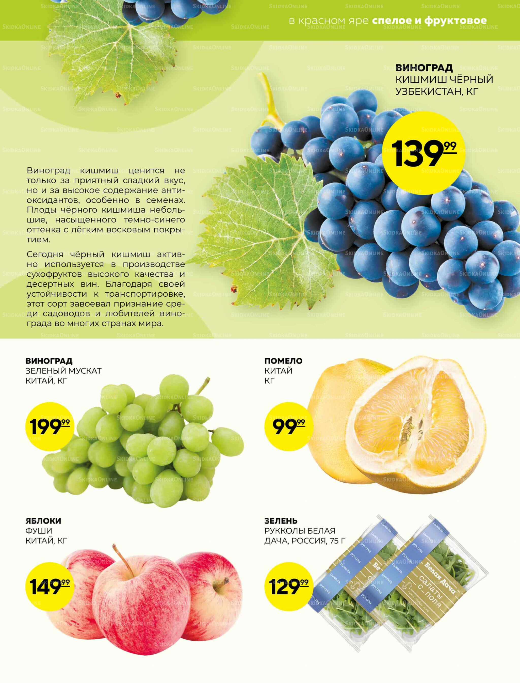 Каталог 16  - 22 Октября 2025 9