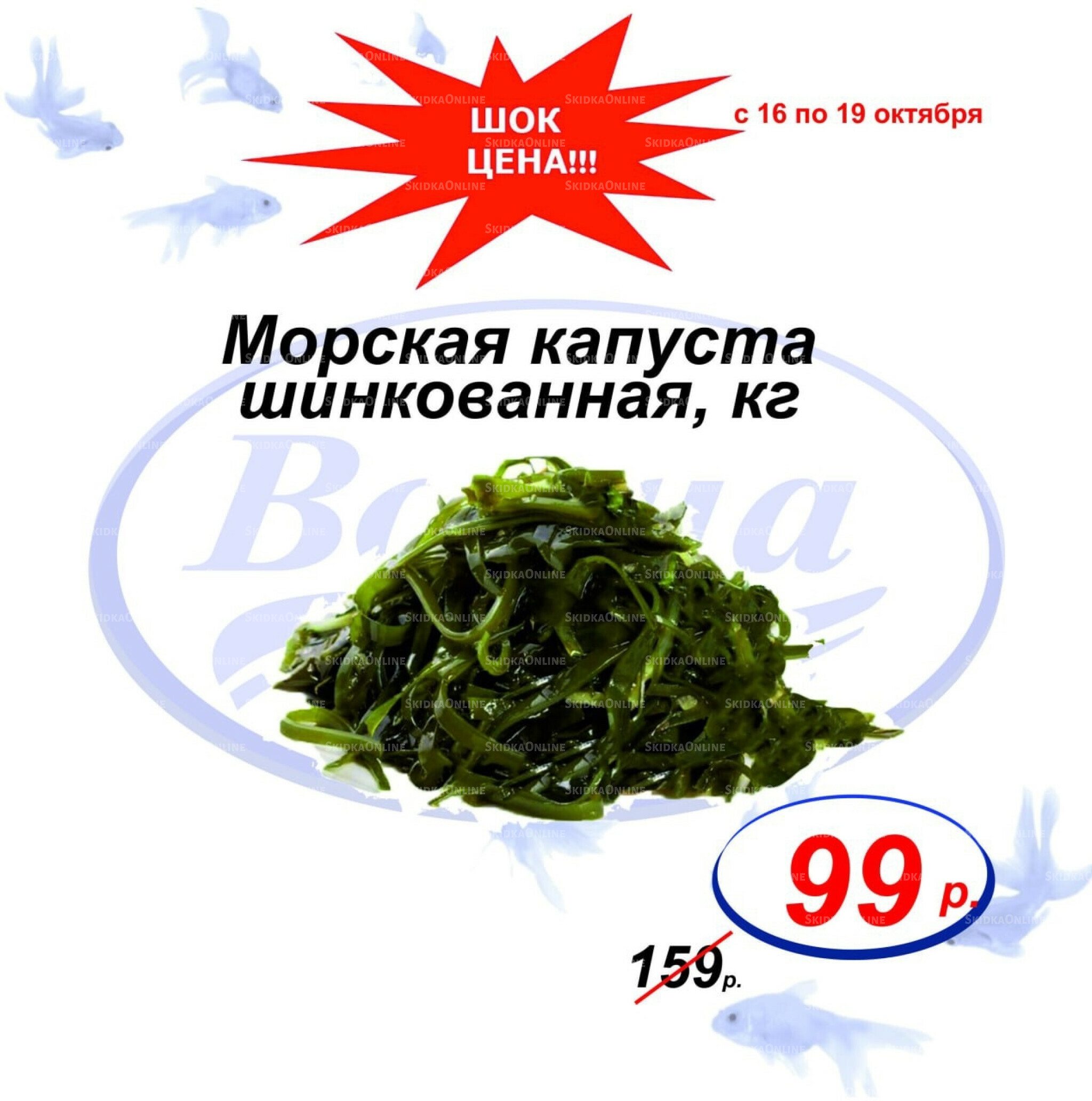 Шок цена 16  - 19 Октября 2025 3