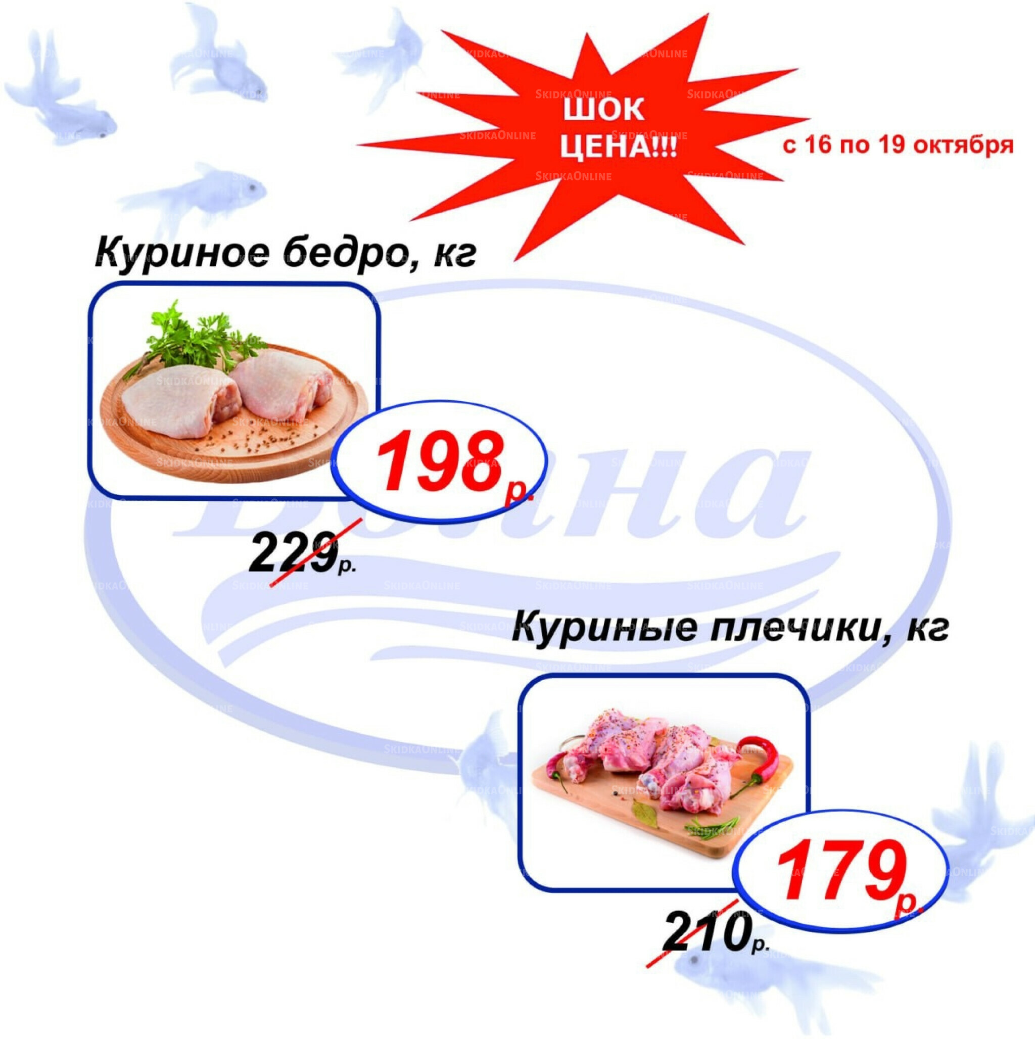 Шок цена 16  - 19 Октября 2025 2