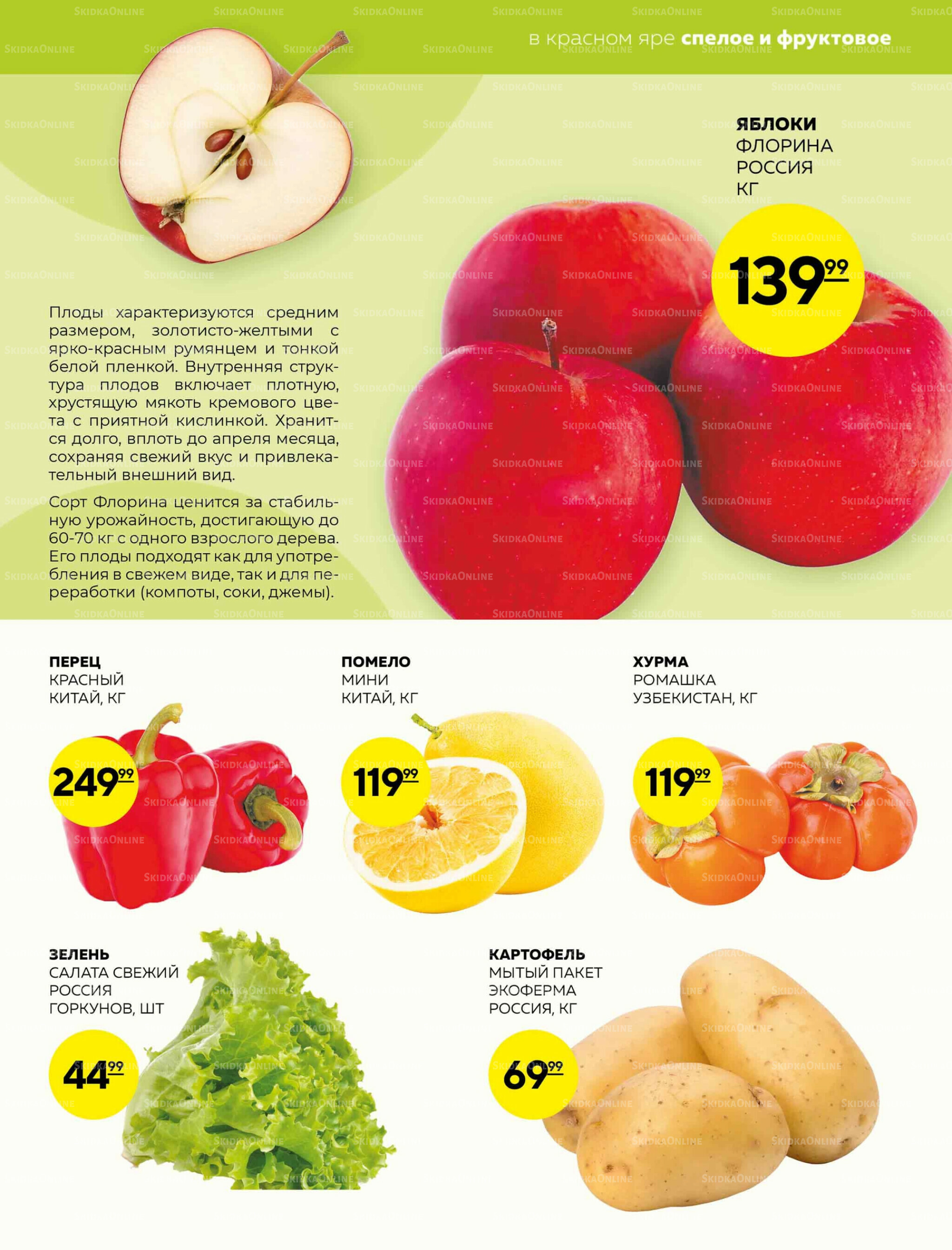 Каталог 23  - 29 Октября 2025 9