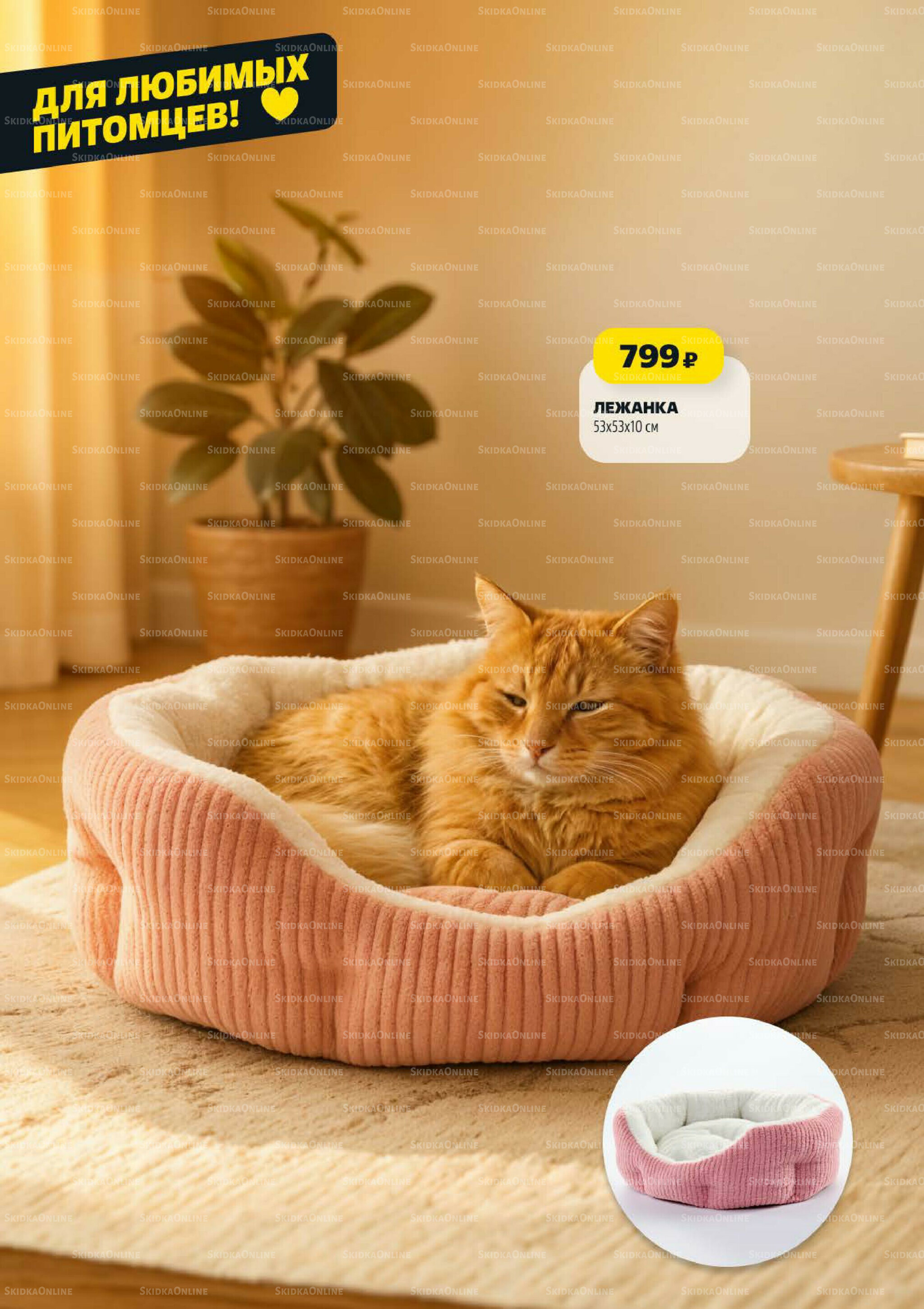 Надо успеть! 30 Октября - 5 Ноября 2025 18