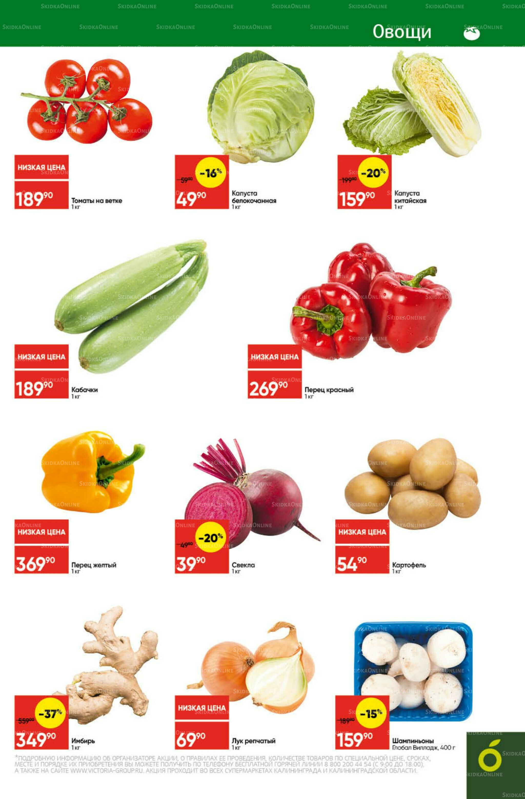 Экономьте с Викторией 27 Октября - 2 Ноября 2025 3