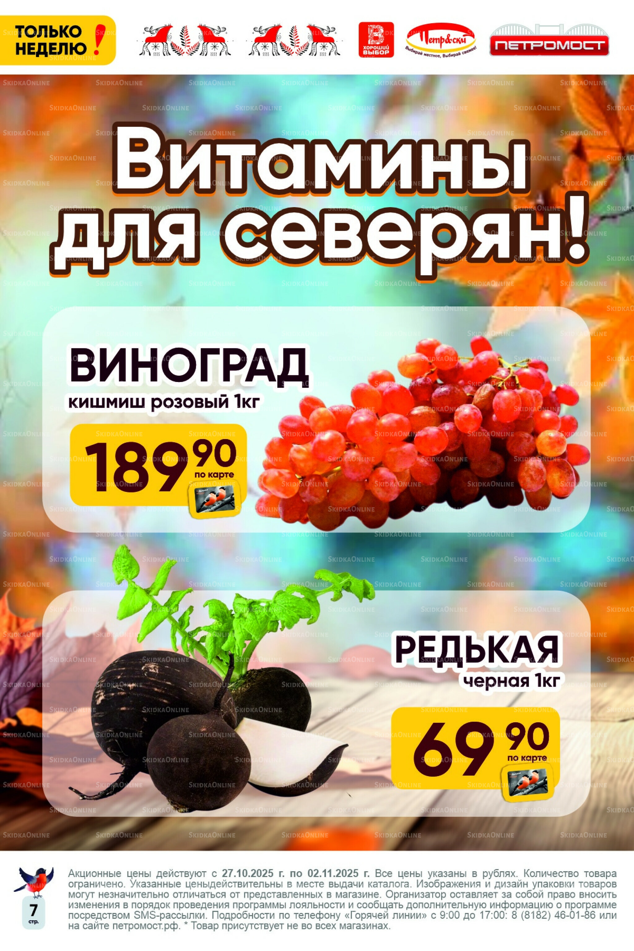 Только неделю! 27 Октября - 2 Ноября 2025 7