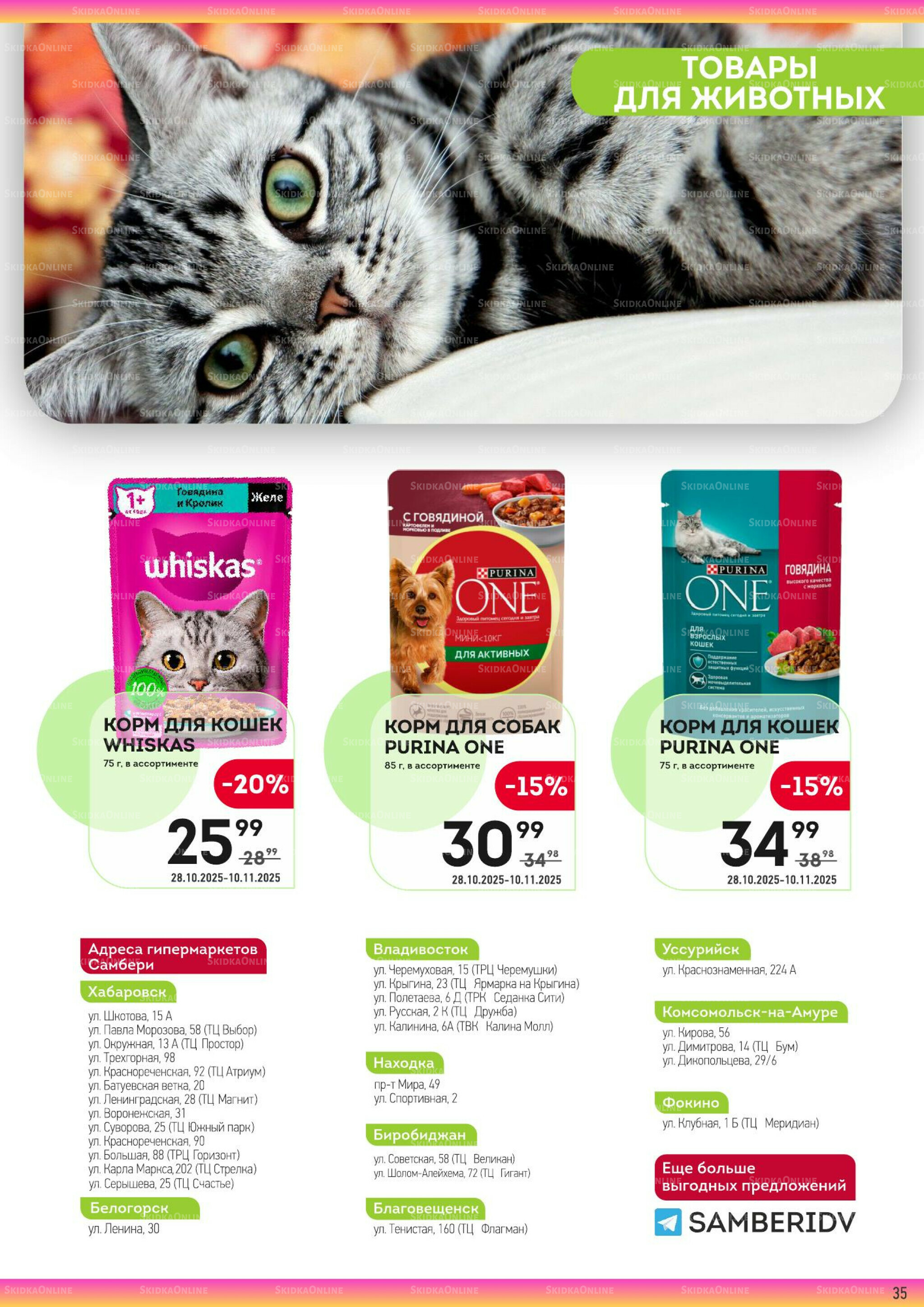 Здесь тепло и уют! 28 Октября - 10 Ноября 2025 35