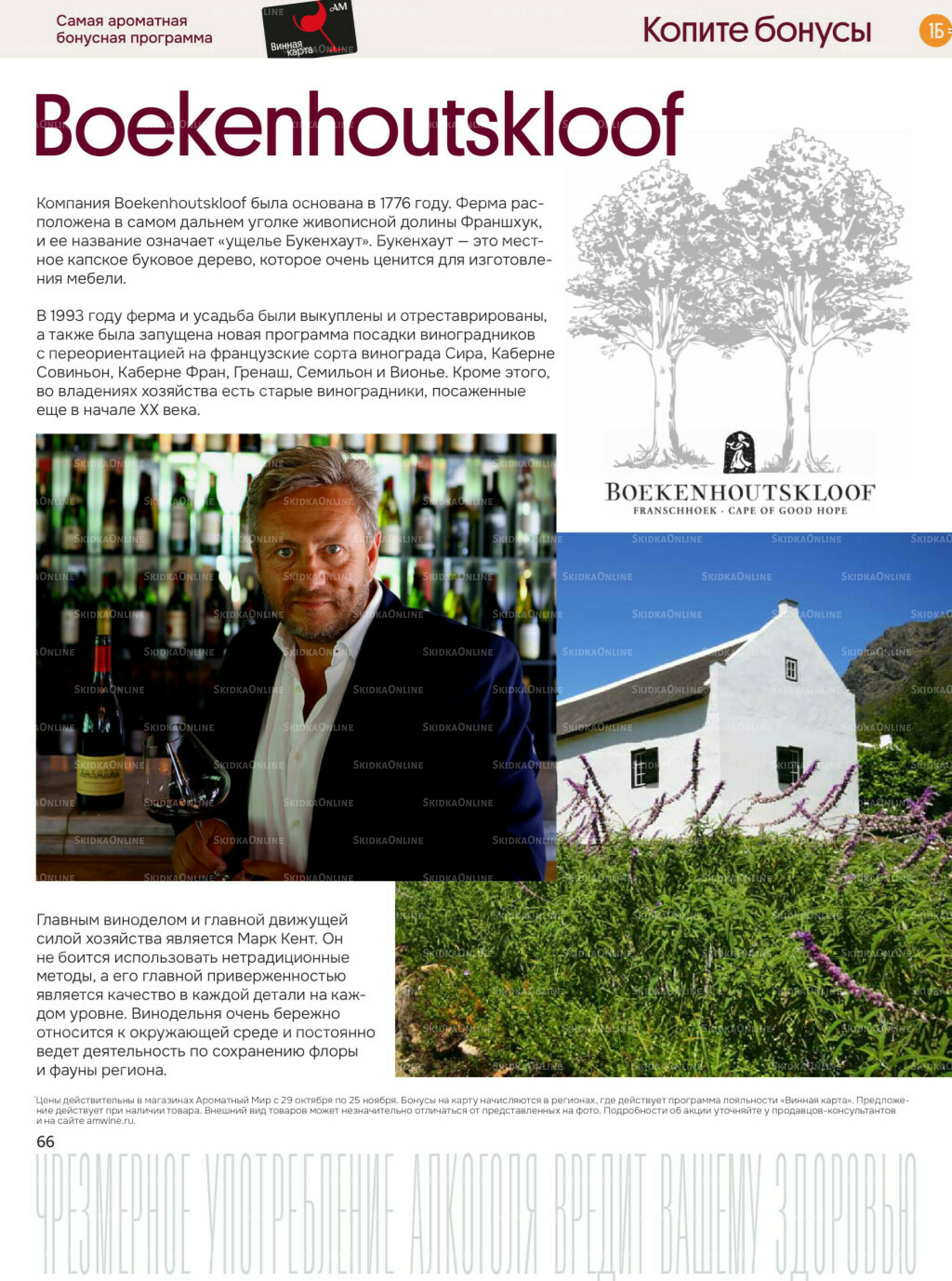 Акционные предложения 29 Октября - 25 Ноября 2025 66